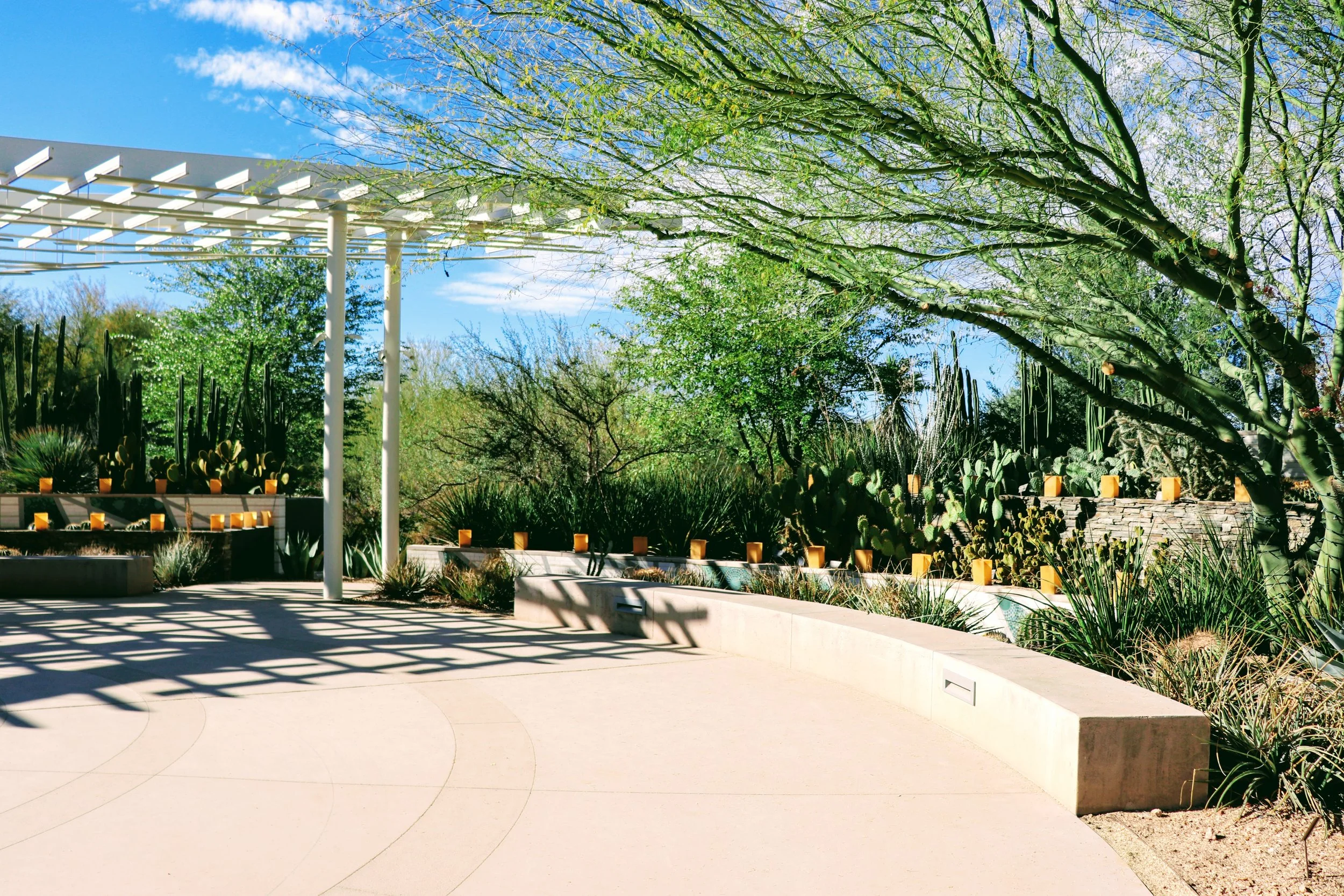 Desert Botanical Garden Phoenix Arizona by MychaelX.p6otos 001570.JPG