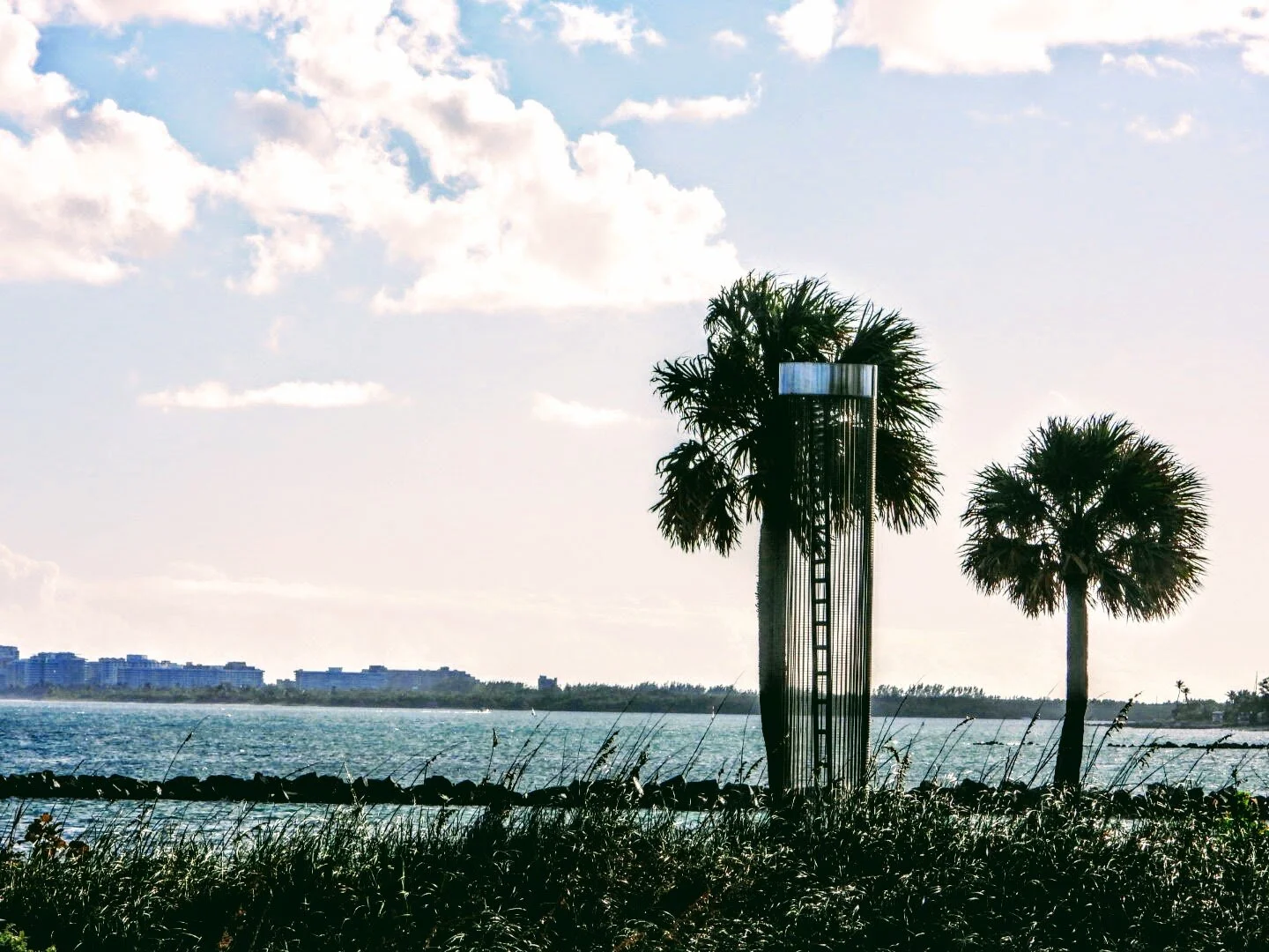 Miami Beach Marina  Miami Florida by MychaelX.photos  00458.JPG