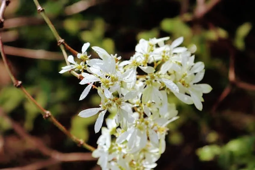 Tropical Botanic Garden by MychaelX.photos  51.JPG