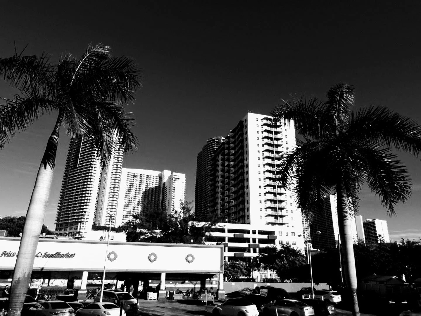 Downtown Miami Florida by MychaelX.photos 00104.JPG