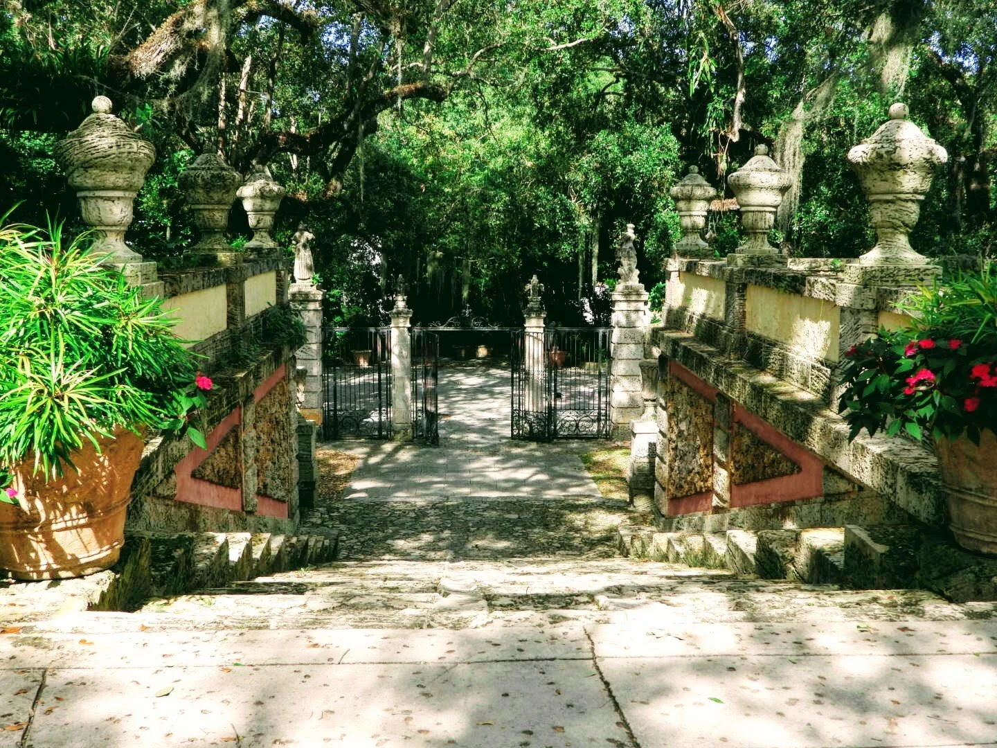 Botanical Garden in Color by Mychael X .photos 00138.JPG