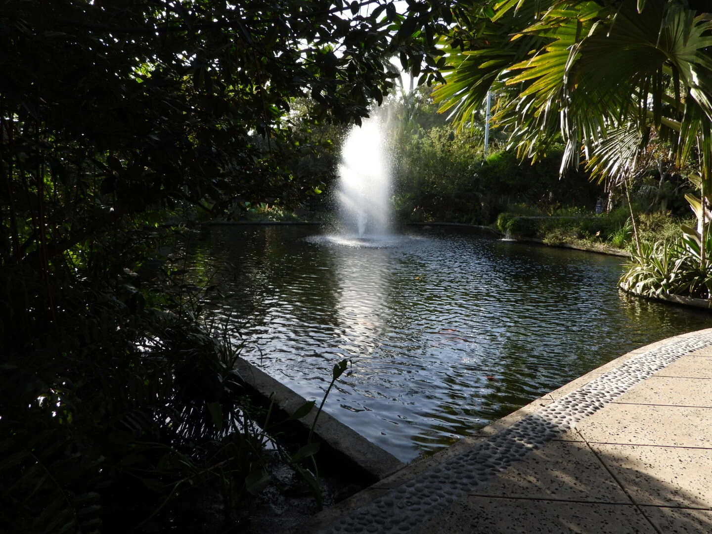 Miami Beach Botanical Garden Florida by MychaelX.photos 0031.JPG