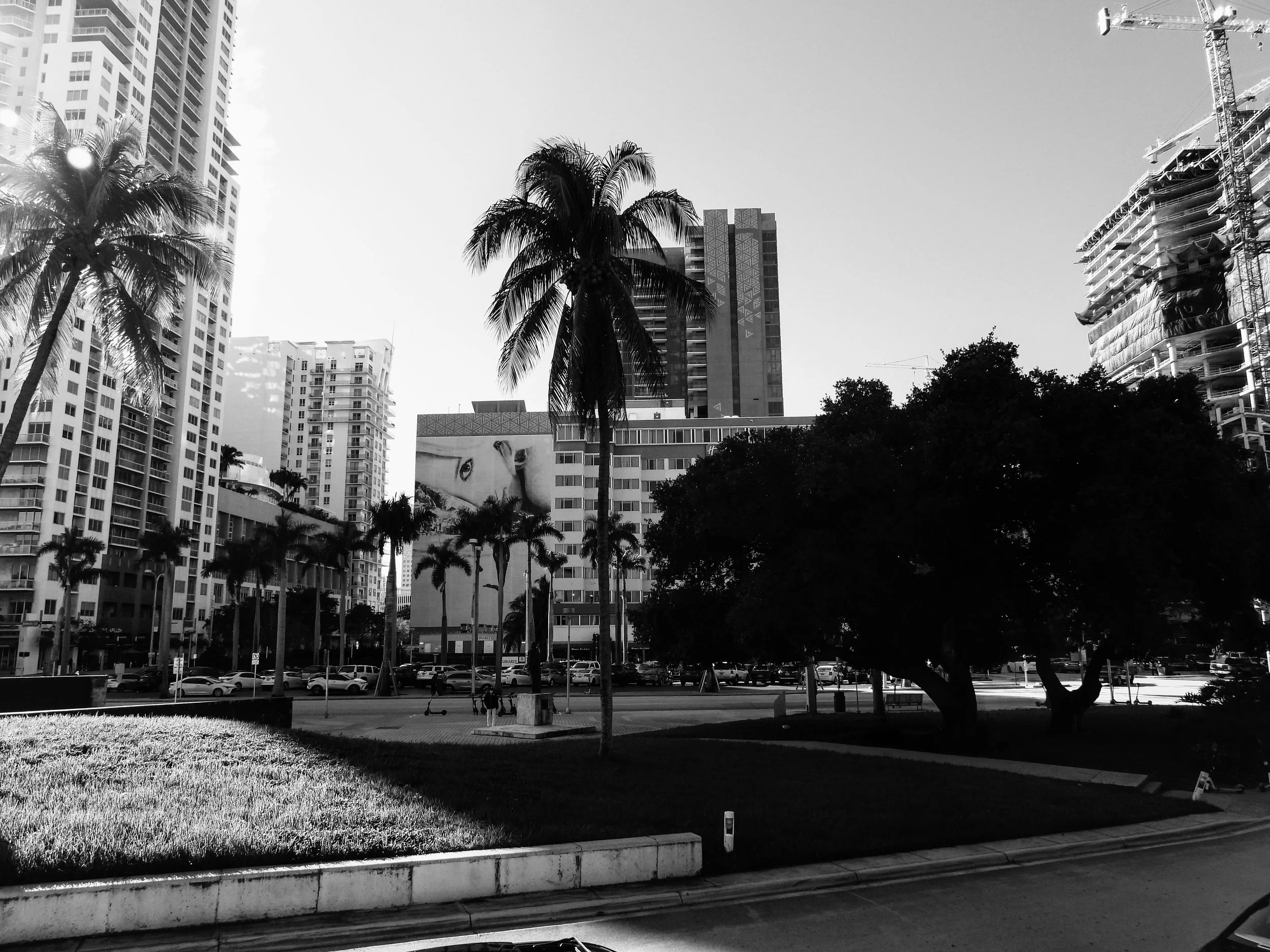 Downtown Miami Florida by MychaelX.photos 00008.JPG