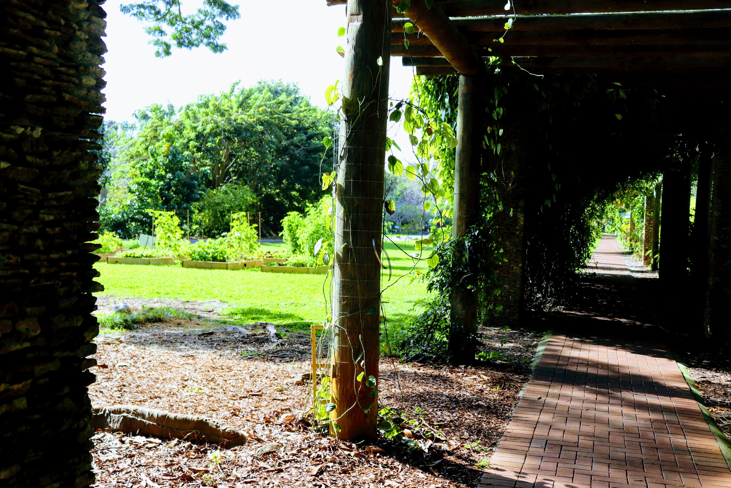 Fairchild Tropical Botanic Garden Miami Florida by MychaelX.photos 00068.JPG