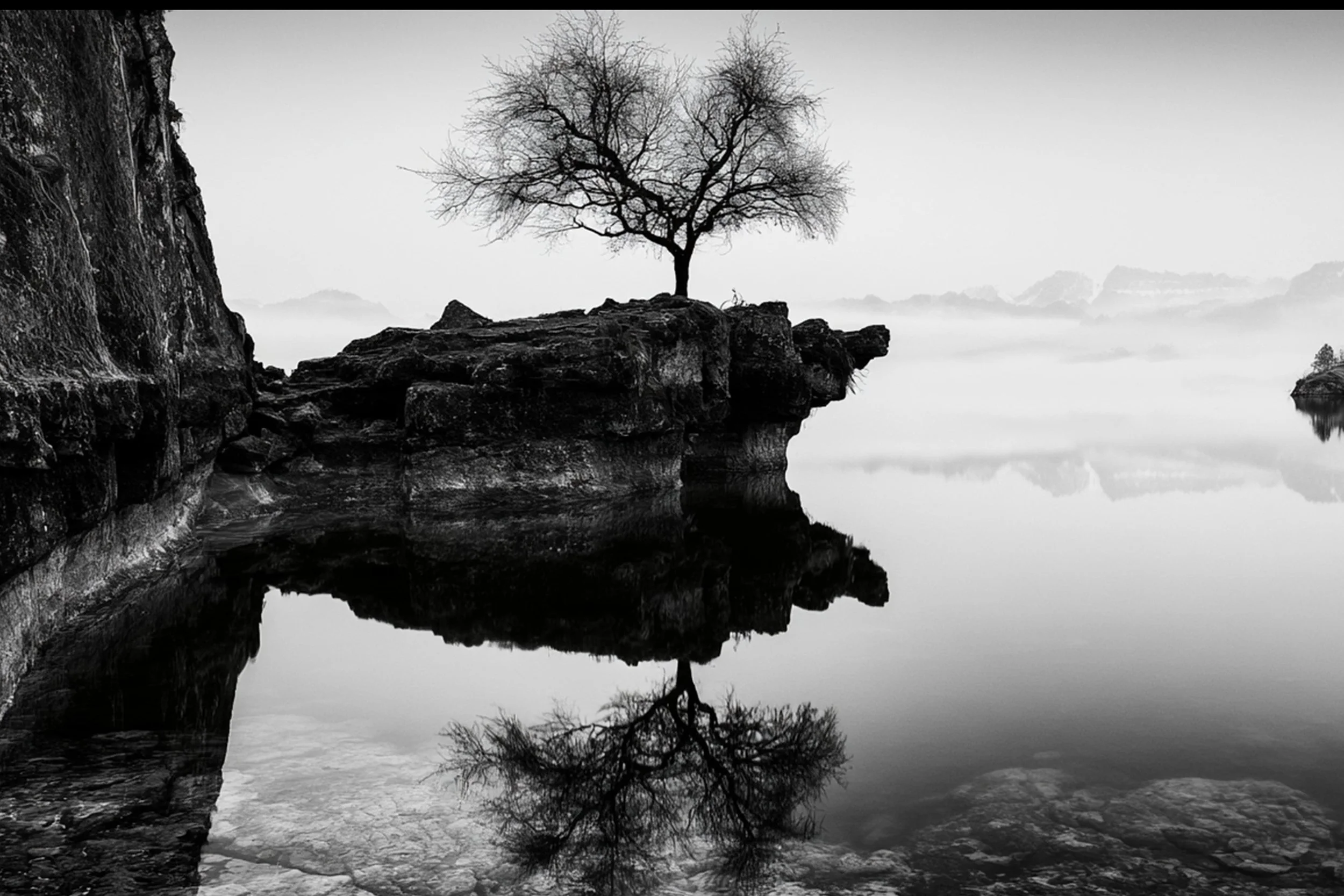 #8 BLACK & WHITE LANDSCAPE — Timeless Beauty in Every View 24W X 36H