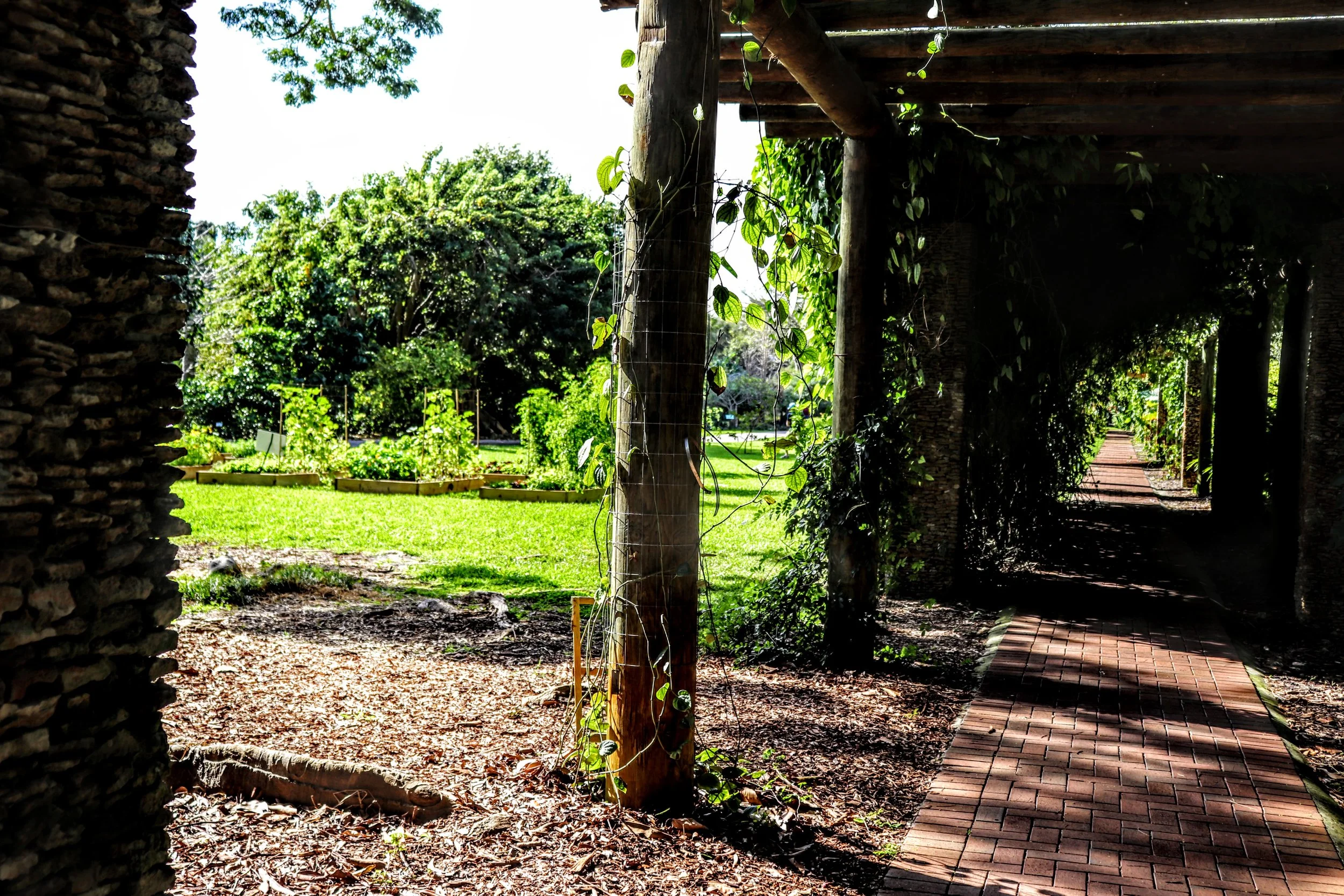 Tropical Botanic Garden by MychaelX.photos  205.JPG