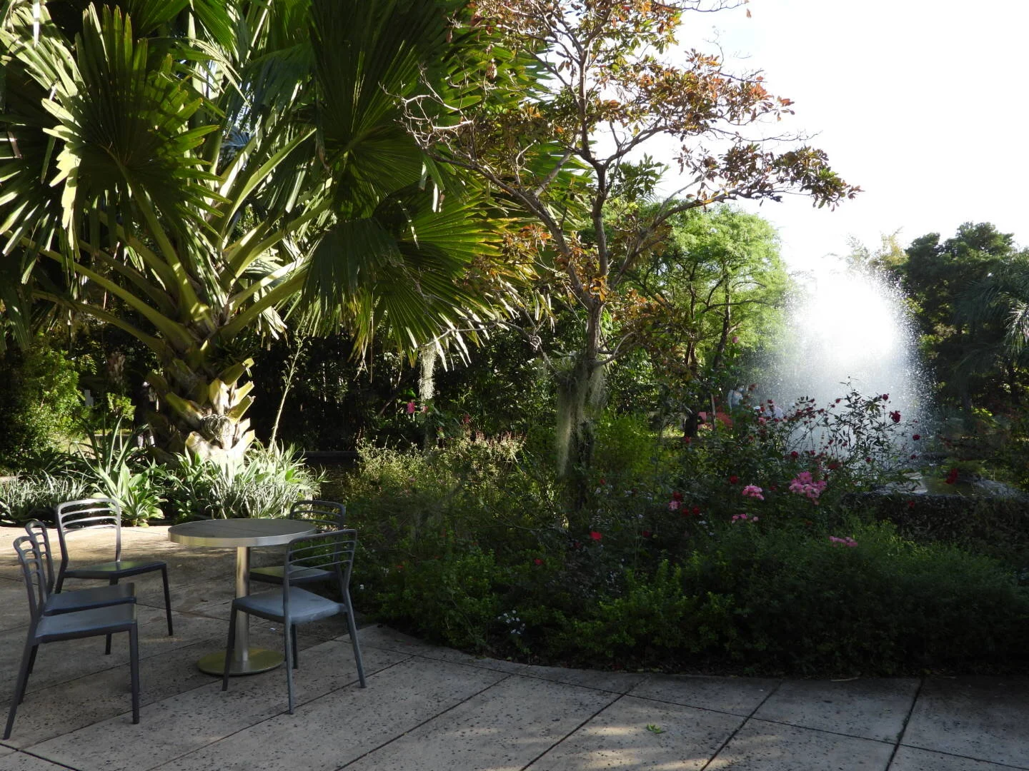 Miami Beach Botanical Garden Florida by MychaelX.photos 0029.JPG