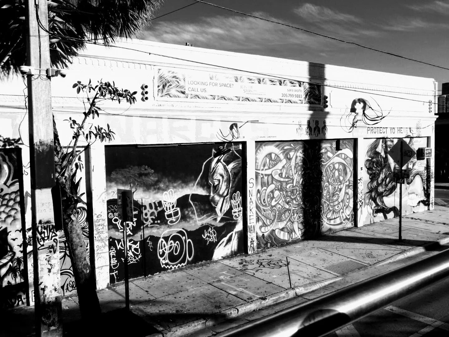 Downtown Miami Florida by MychaelX.photos 000238.JPG