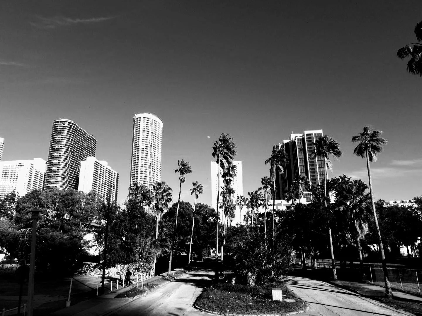 Downtown Miami Florida by MychaelX.photos 00107.JPG