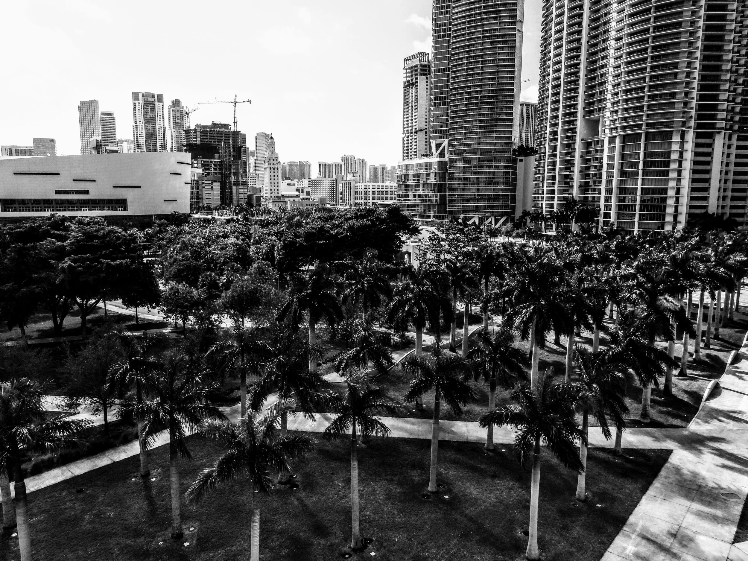 Downtown Miami Florida by MychaelX.photos 002244.JPG