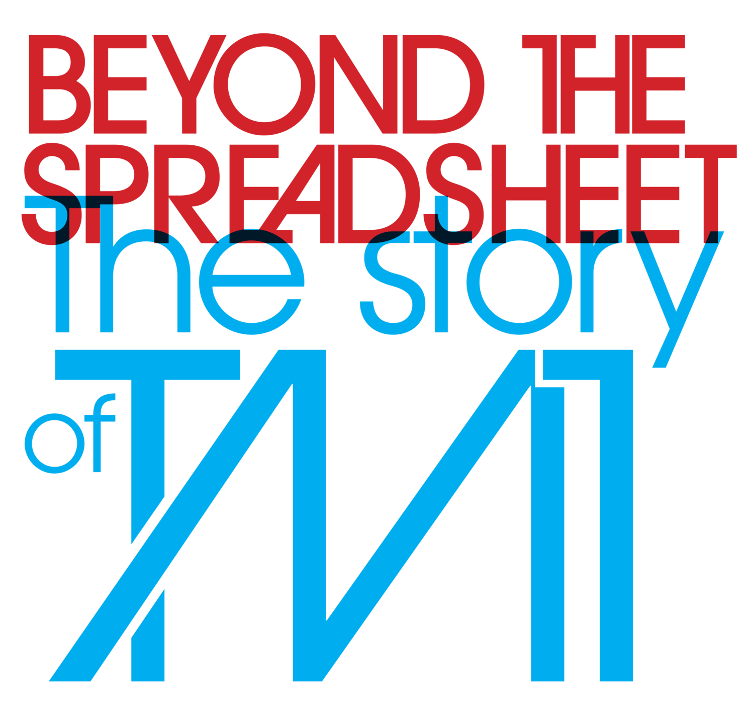 Beyond the Spreadsheet: The Story of TM1