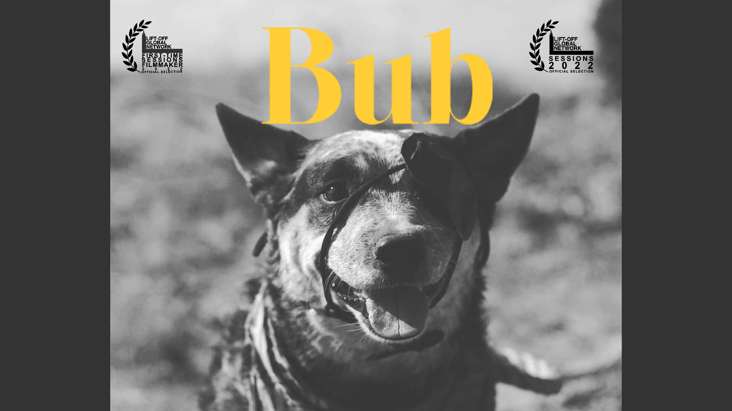 Out Now @thefilmbusiness podcast