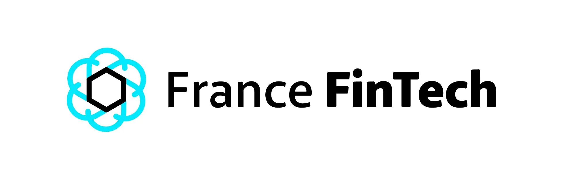 Logo de France Fintech