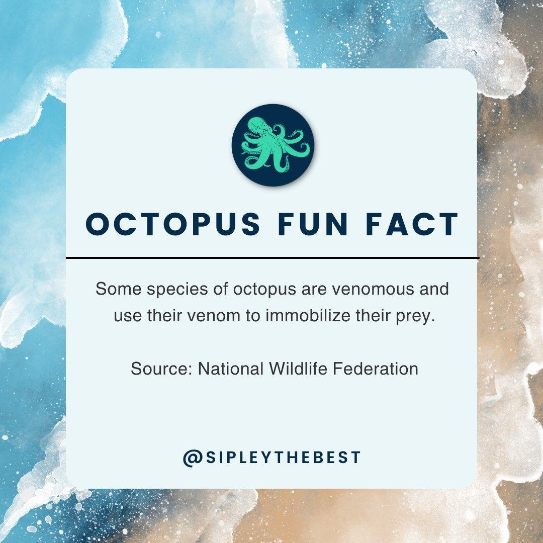 Their beak sits underneath their giant heads. Watch out for an octopus bite. 

Follow @Sipleythebest for more octopus fun facts, HR knowledge, and job seeker advice! 

#smallbusiness #supportsmallbusiness #shopsmall #shoplocal #entrepreneur #business