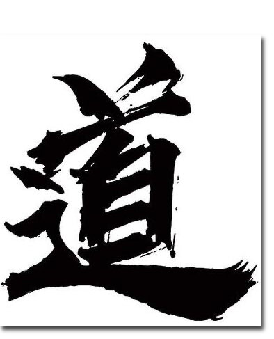 CONFUCIUS COMPREHENSION - Beginners Chinese Calligraphy Brush