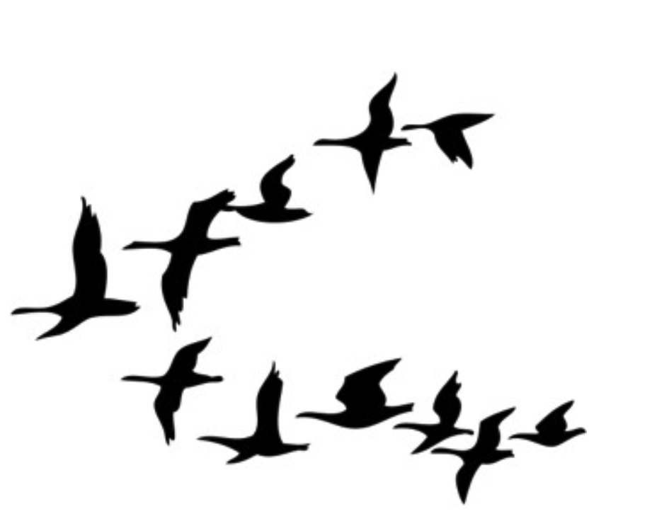 "Teamwork Lessons from the Geese" by Robert McNeish