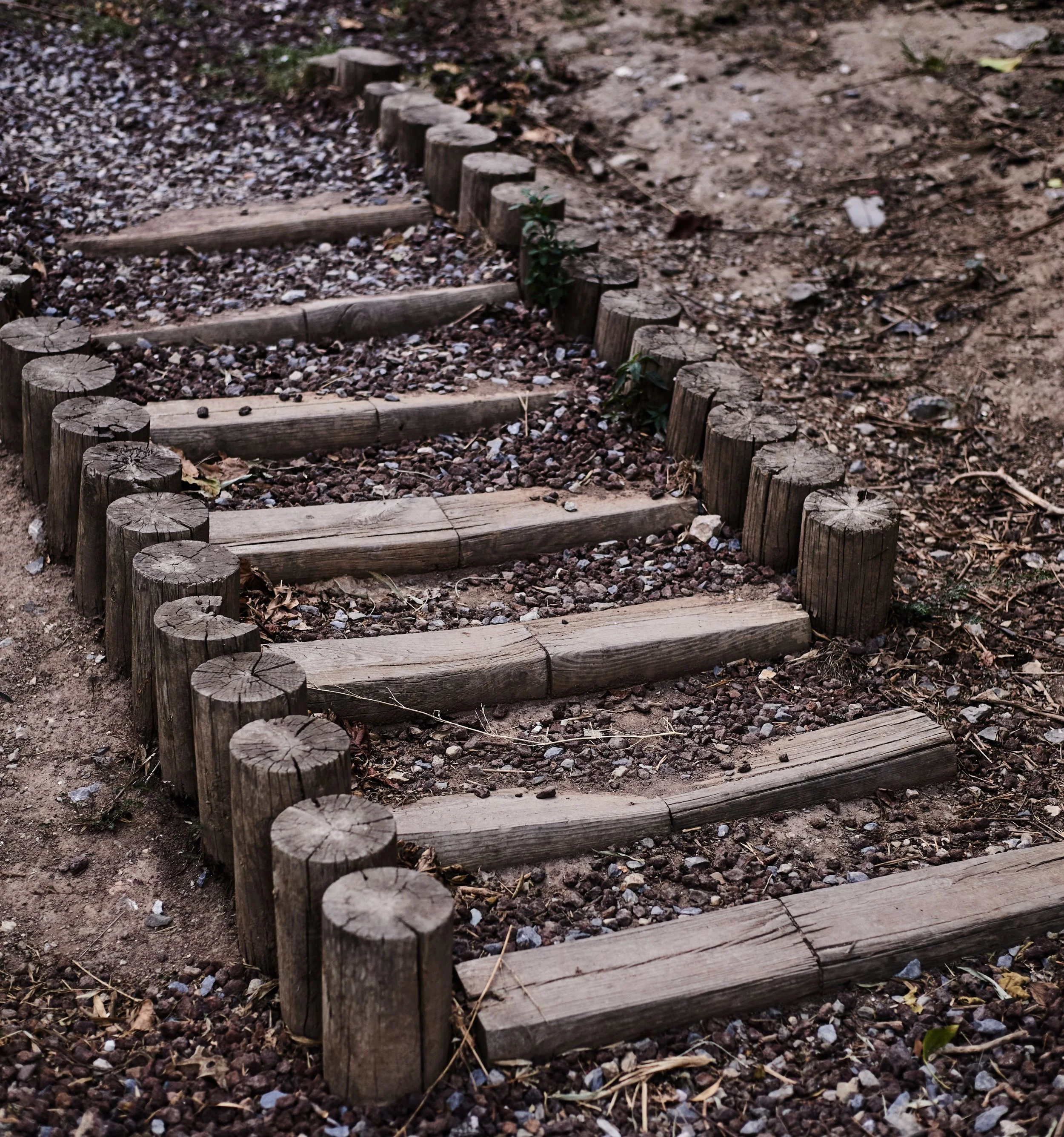 Seven Steps - A Daily Walk — Anonymous