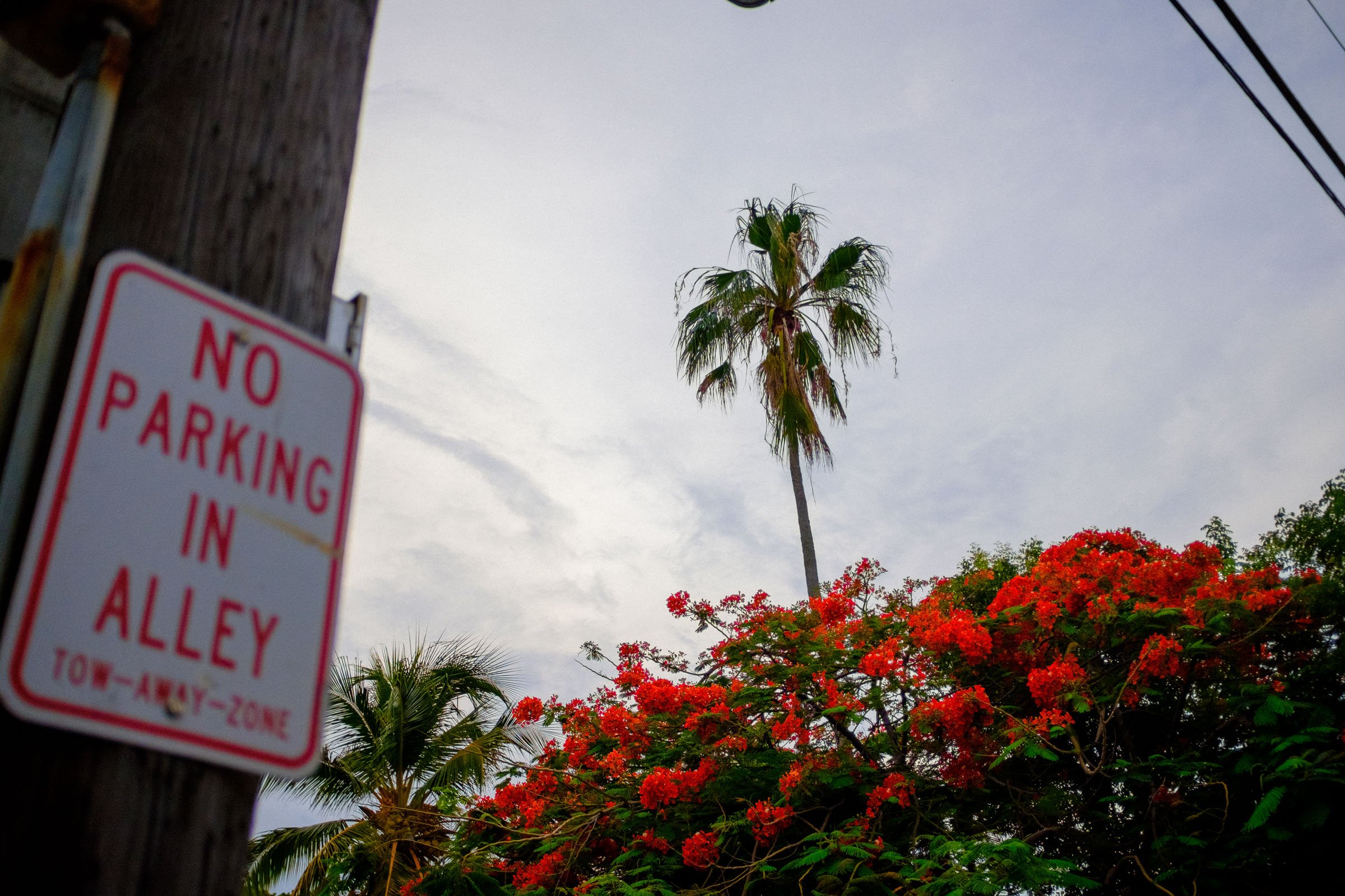 2022-06-25 Miami Beach - Cruise - Blog-30.jpg