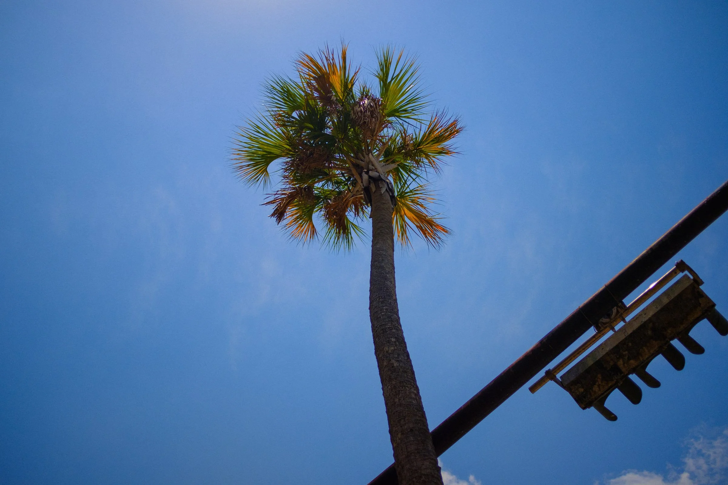 2022-06-25 Miami Beach - Cruise - Blog-10.jpg