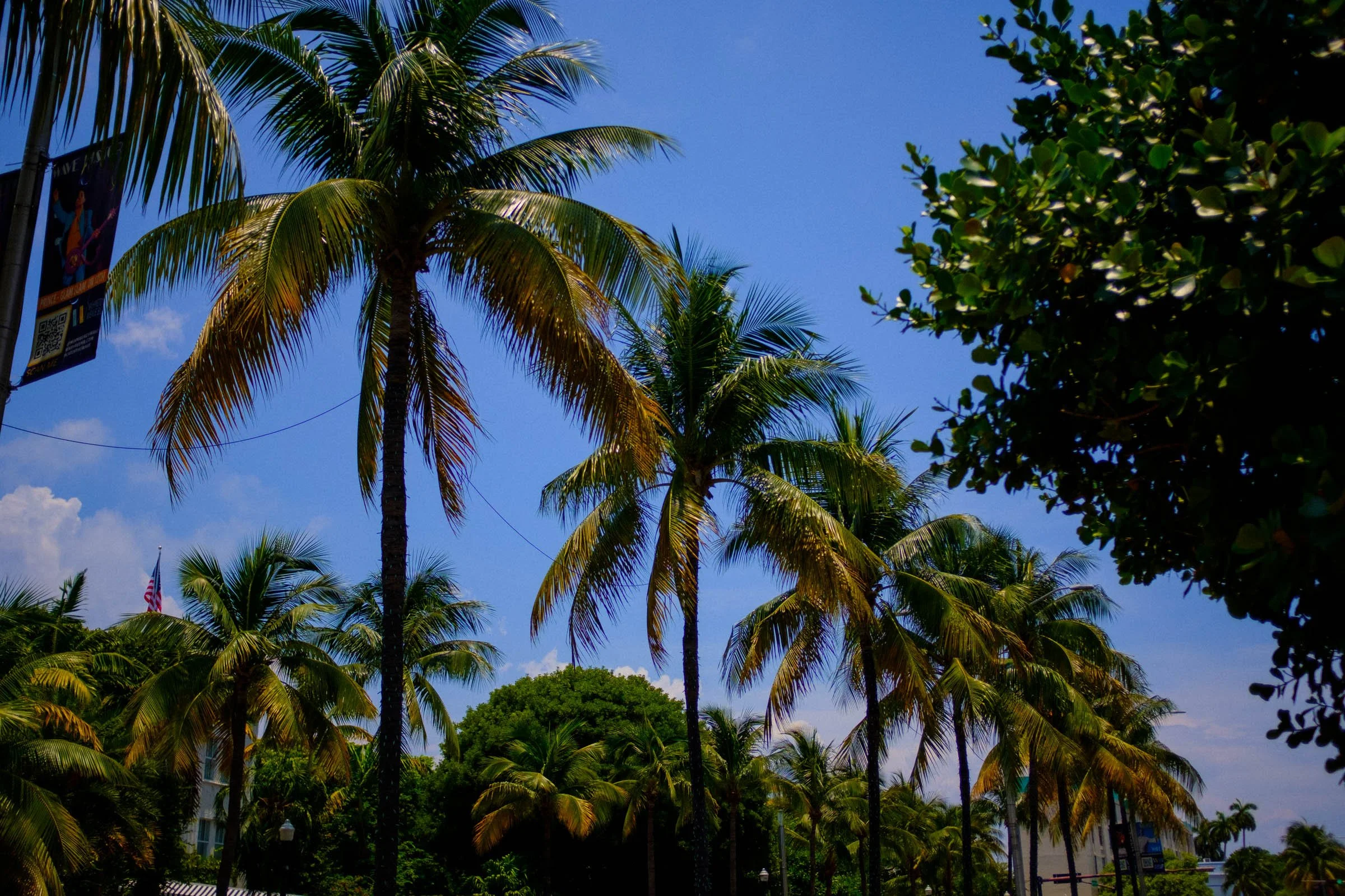 2022-06-25 Miami Beach - Cruise - Blog-9.jpg