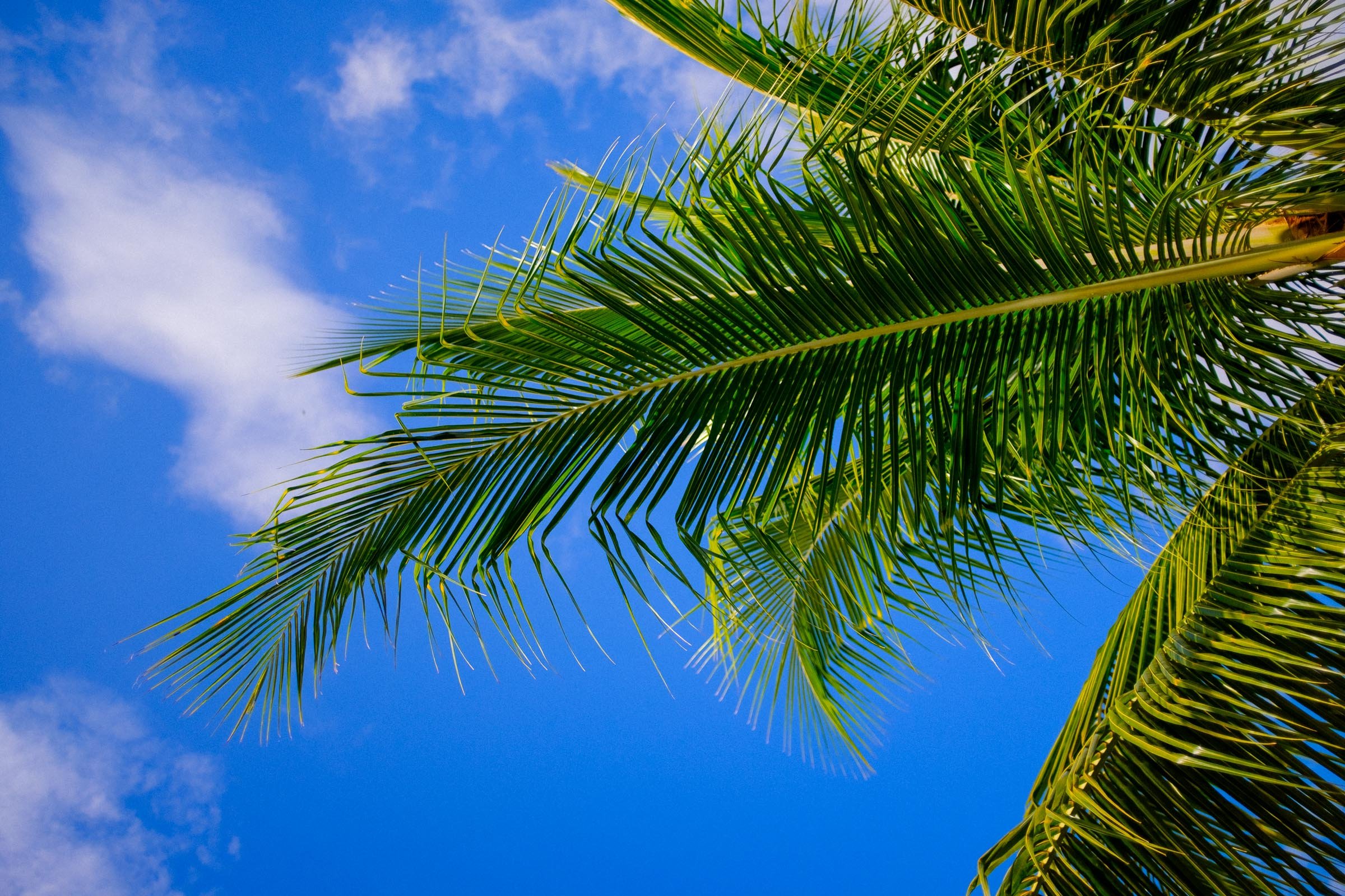 2022-06-25 Miami Beach - Cruise - Blog-143.jpg
