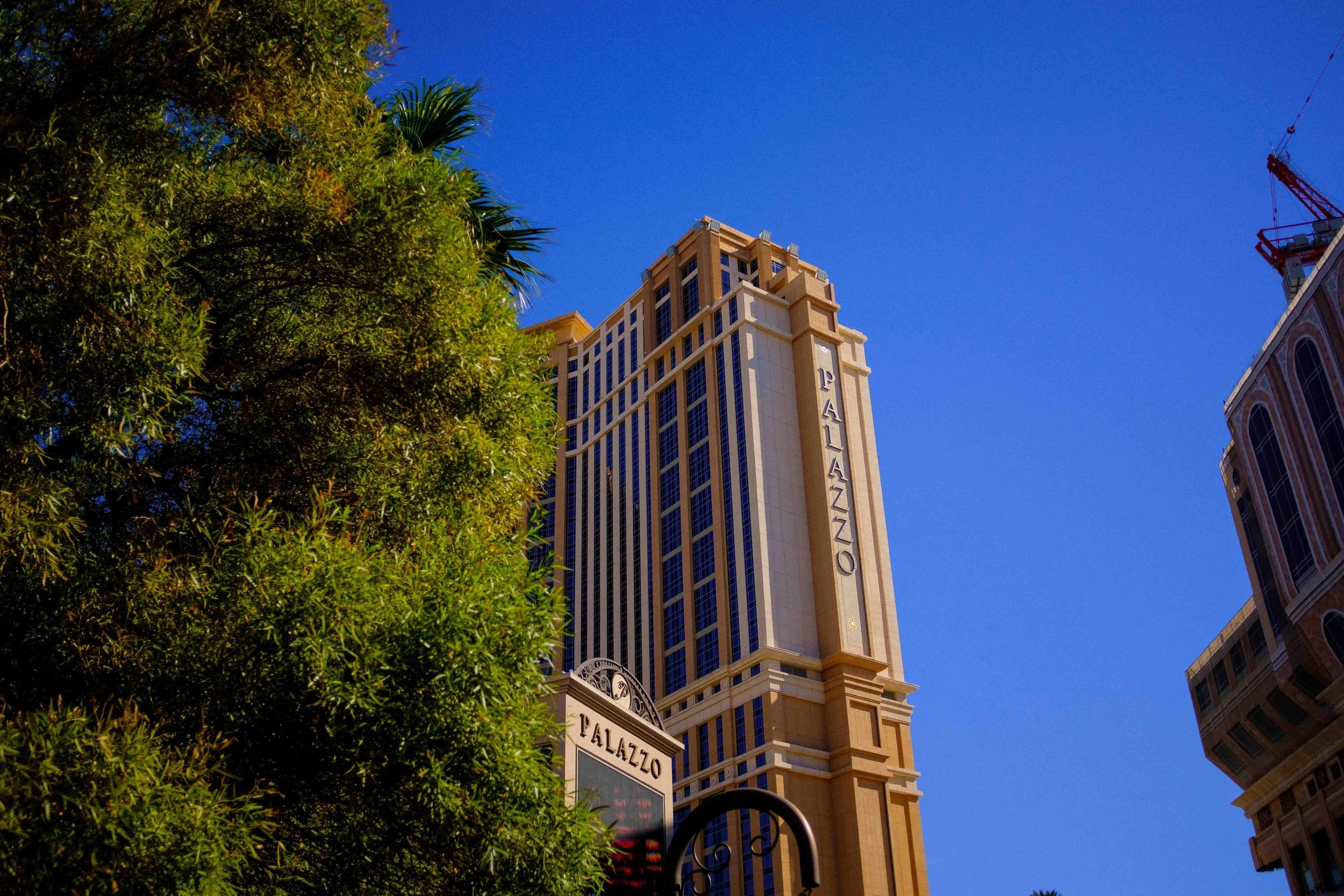 Aidan Hennebry - Las Vegas Photography - Winter 2022-9.jpg