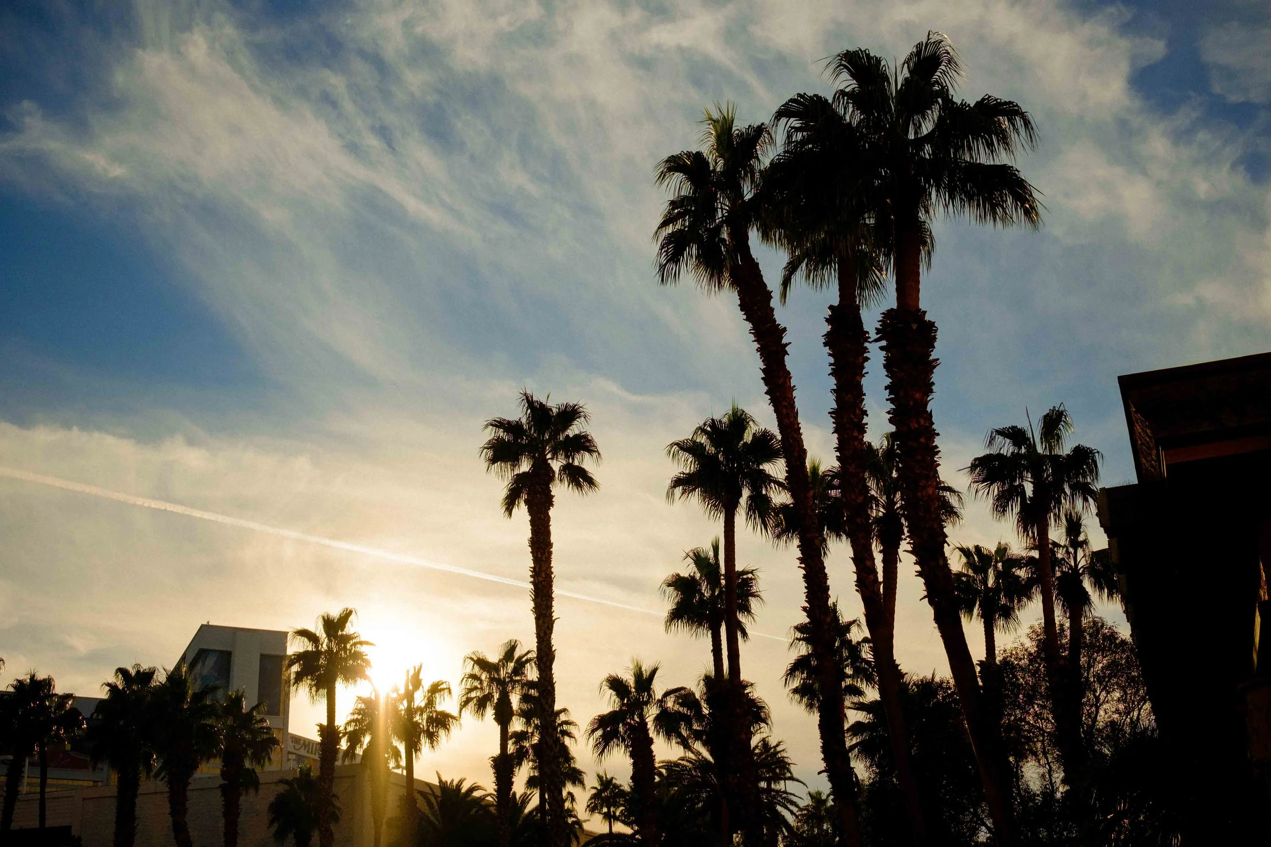 Aidan Hennebry - Las Vegas Photography - Winter 2022-20.jpg