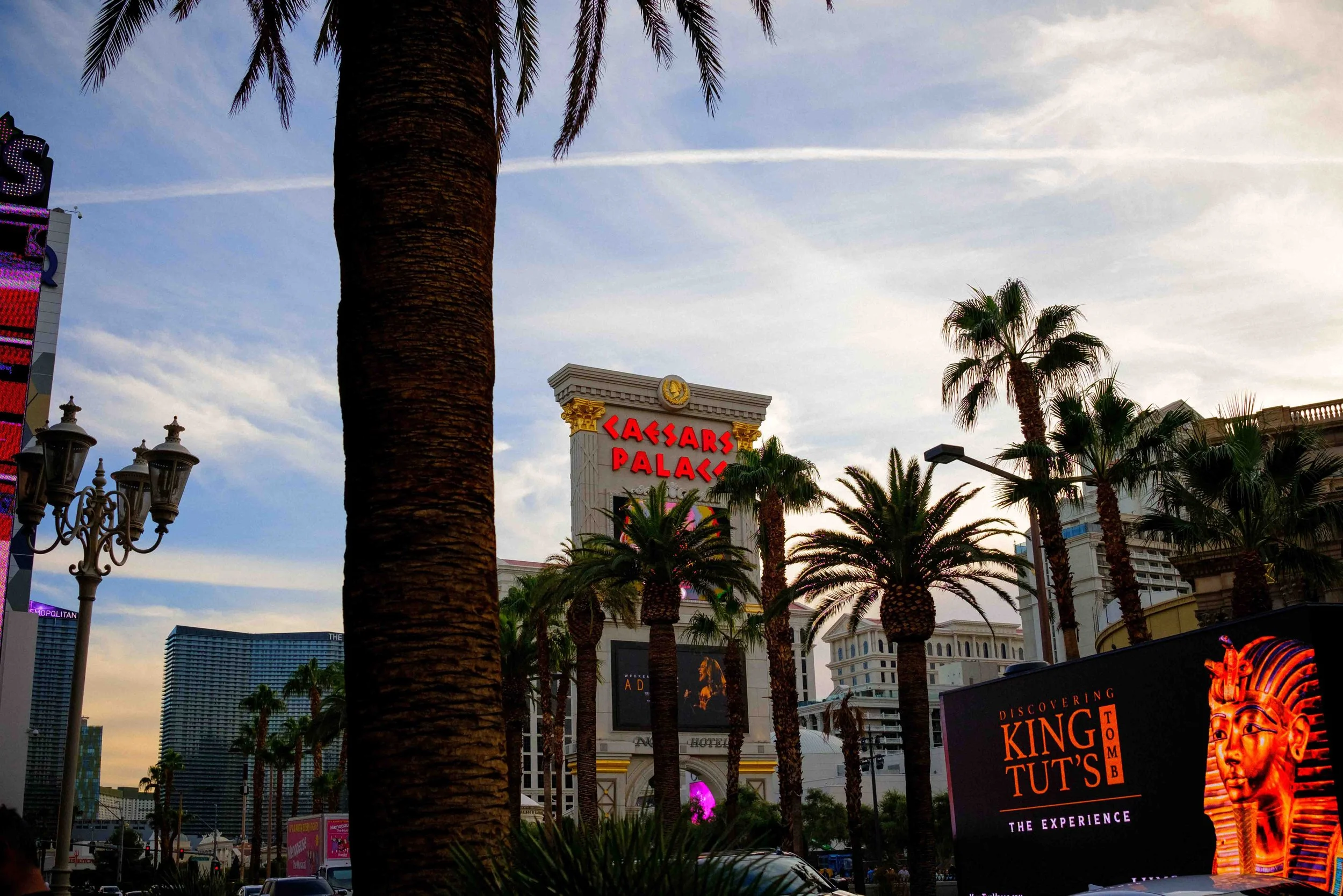 Aidan Hennebry - Las Vegas Photography - Winter 2022-22.jpg