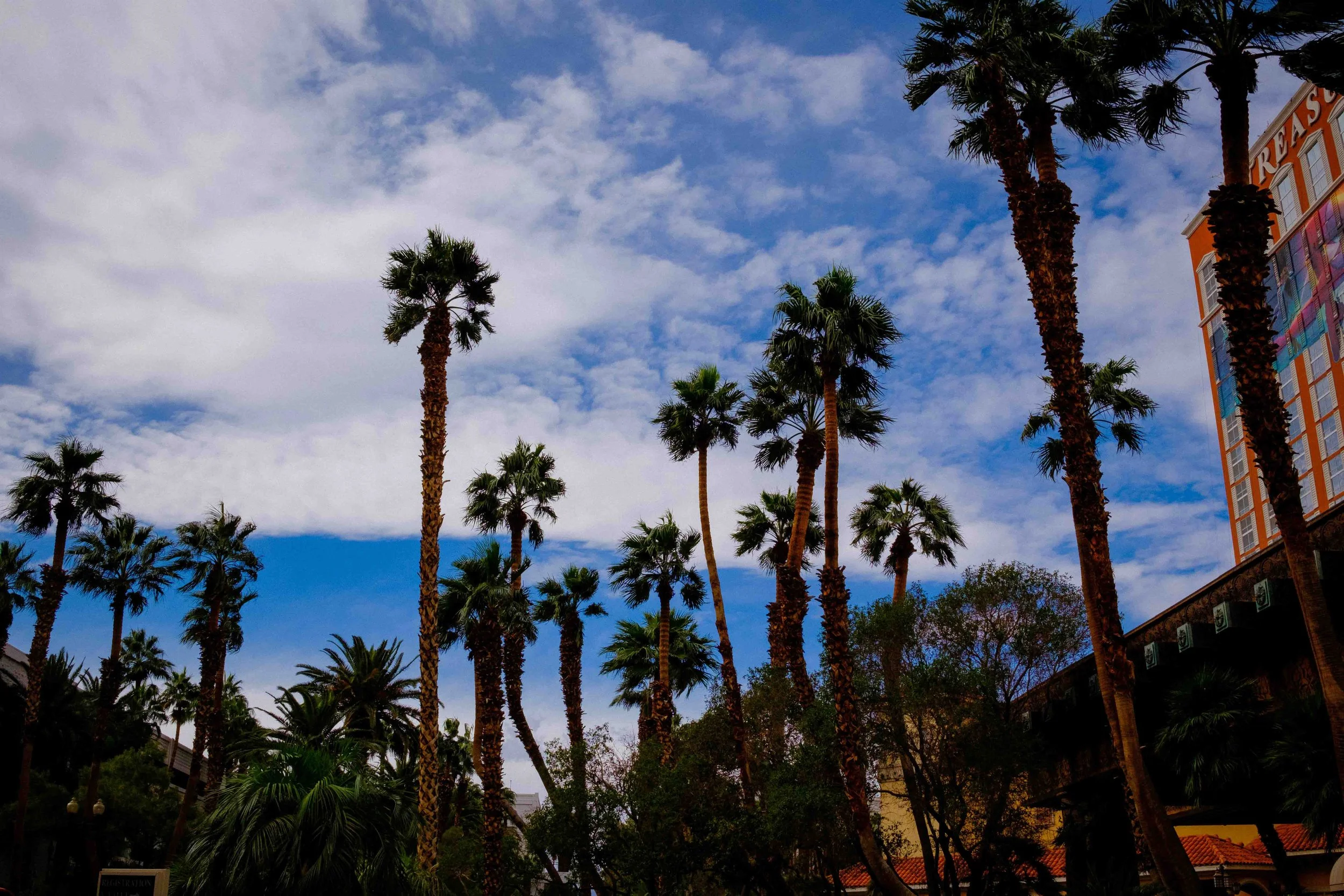 Aidan Hennebry - Las Vegas Photography - Winter 2022-56.jpg
