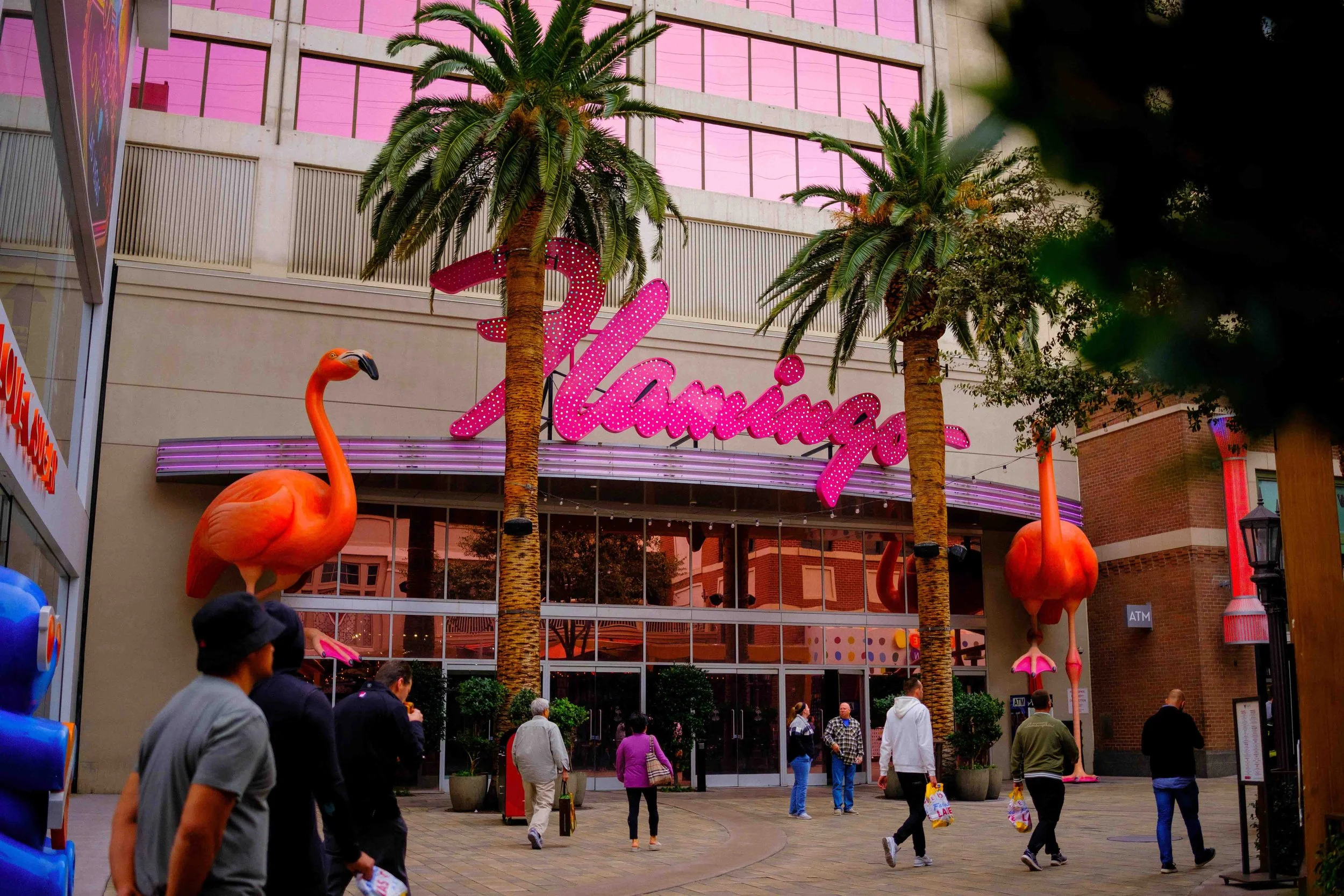Aidan Hennebry - Las Vegas Photography - Winter 2022-58.jpg