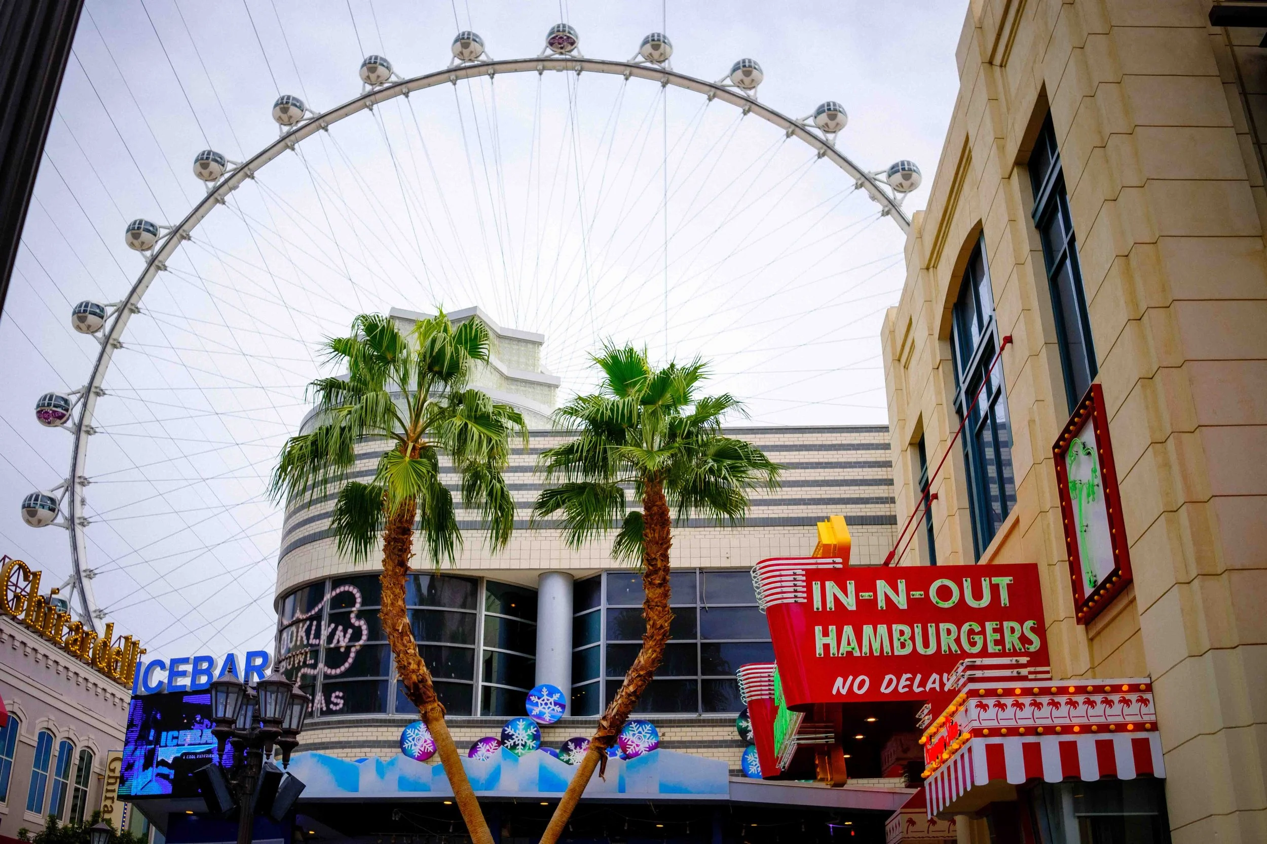 Aidan Hennebry - Las Vegas Photography - Winter 2022-63.jpg