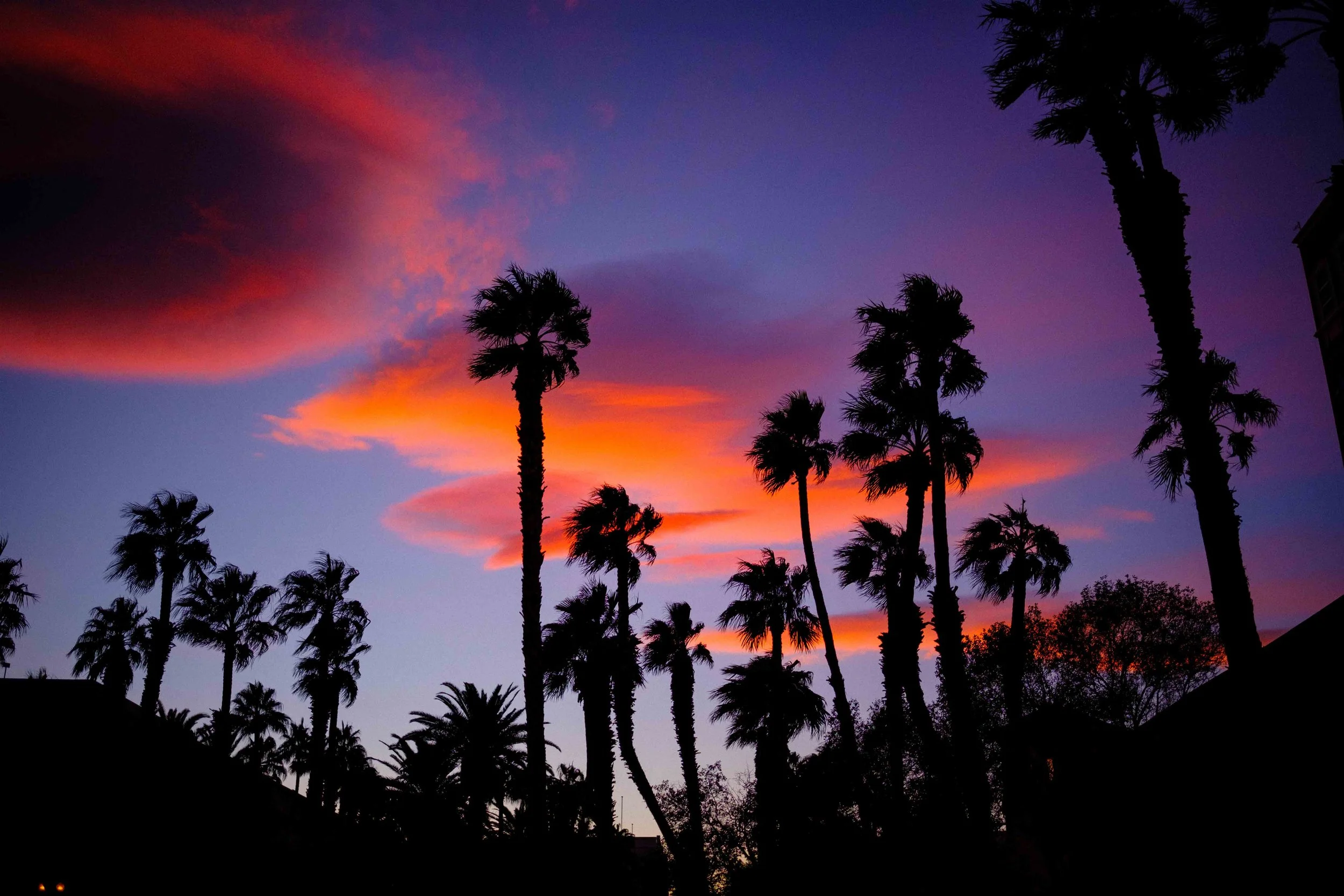 Aidan Hennebry - Las Vegas Photography - Winter 2022-71.jpg