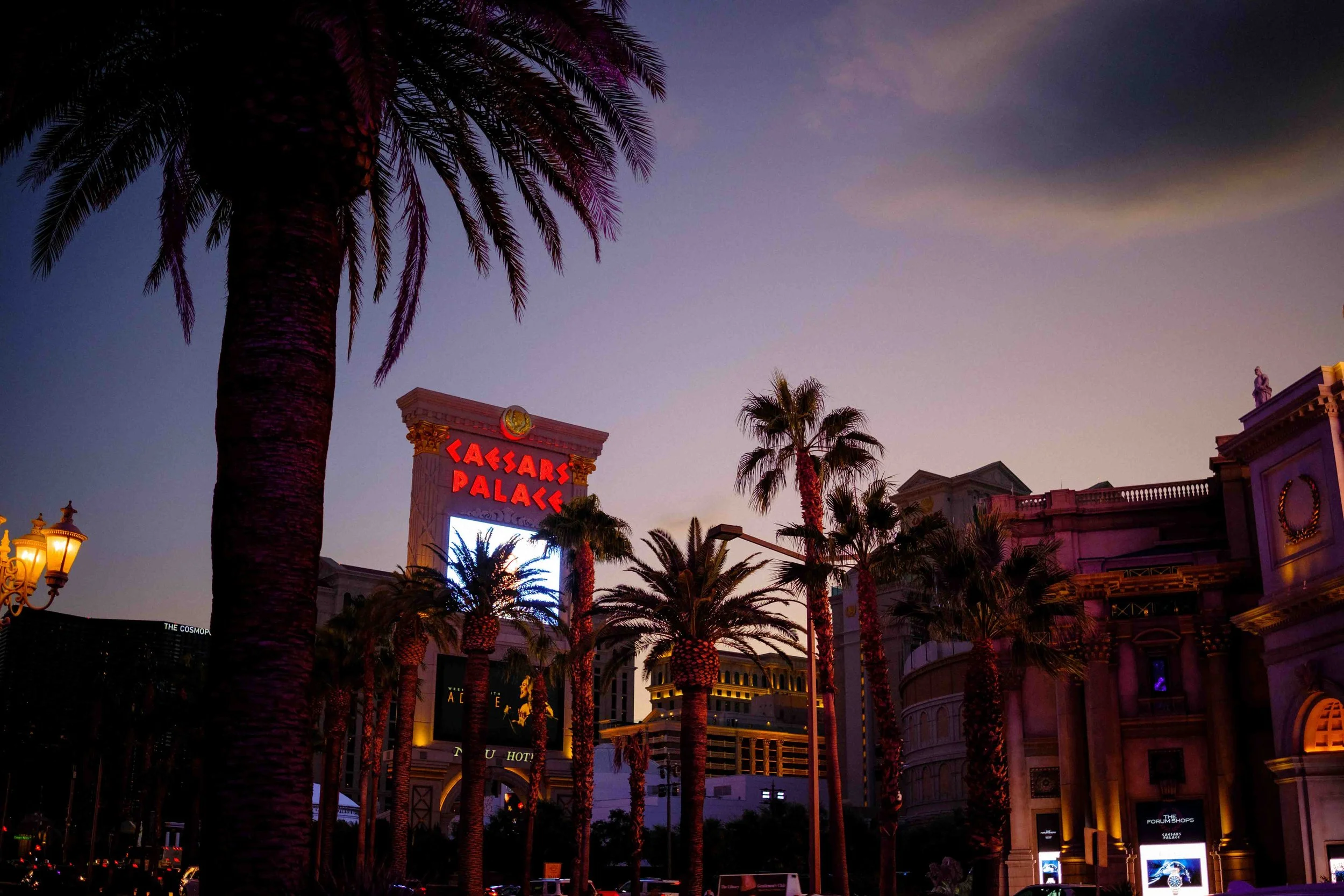 Aidan Hennebry - Las Vegas Photography - Winter 2022-75.jpg