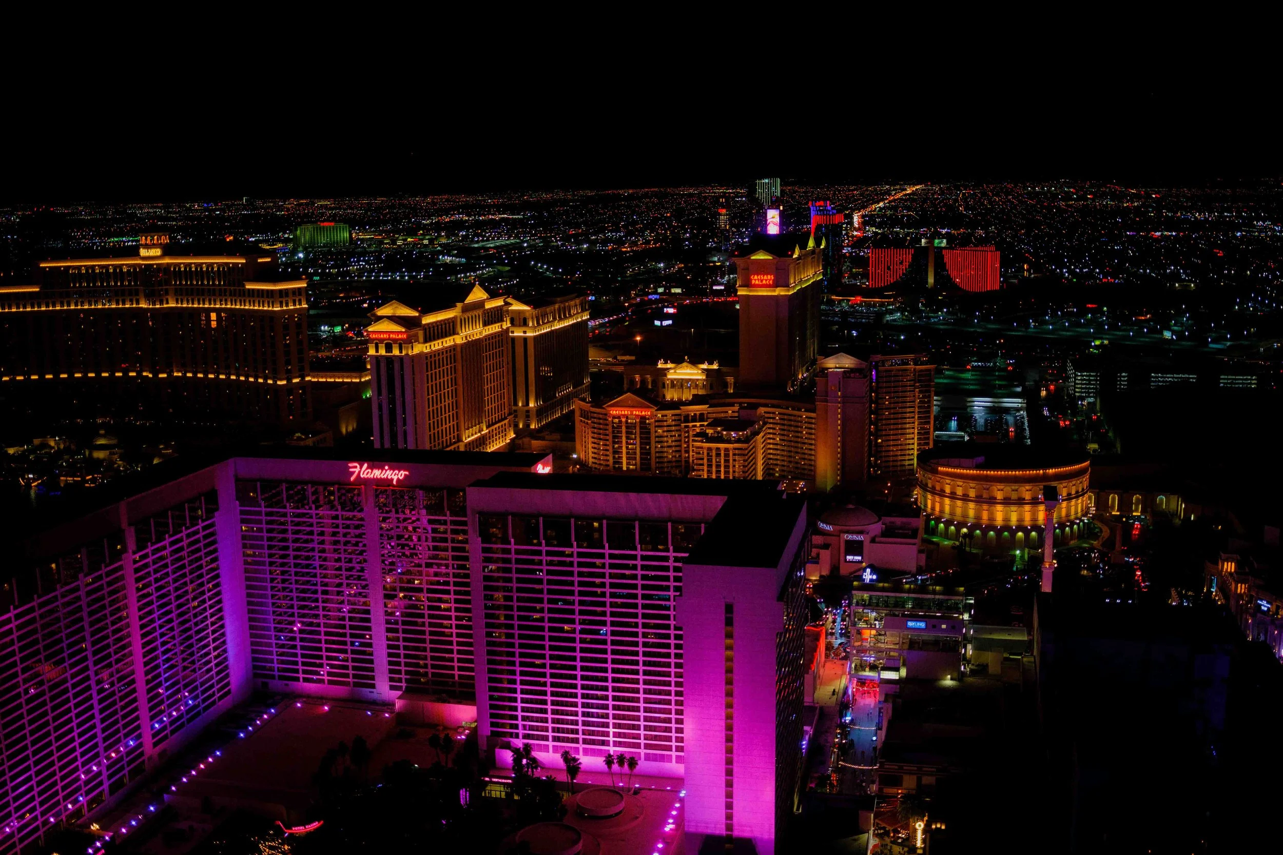 Aidan Hennebry - Las Vegas Photography - Winter 2022-140.jpg