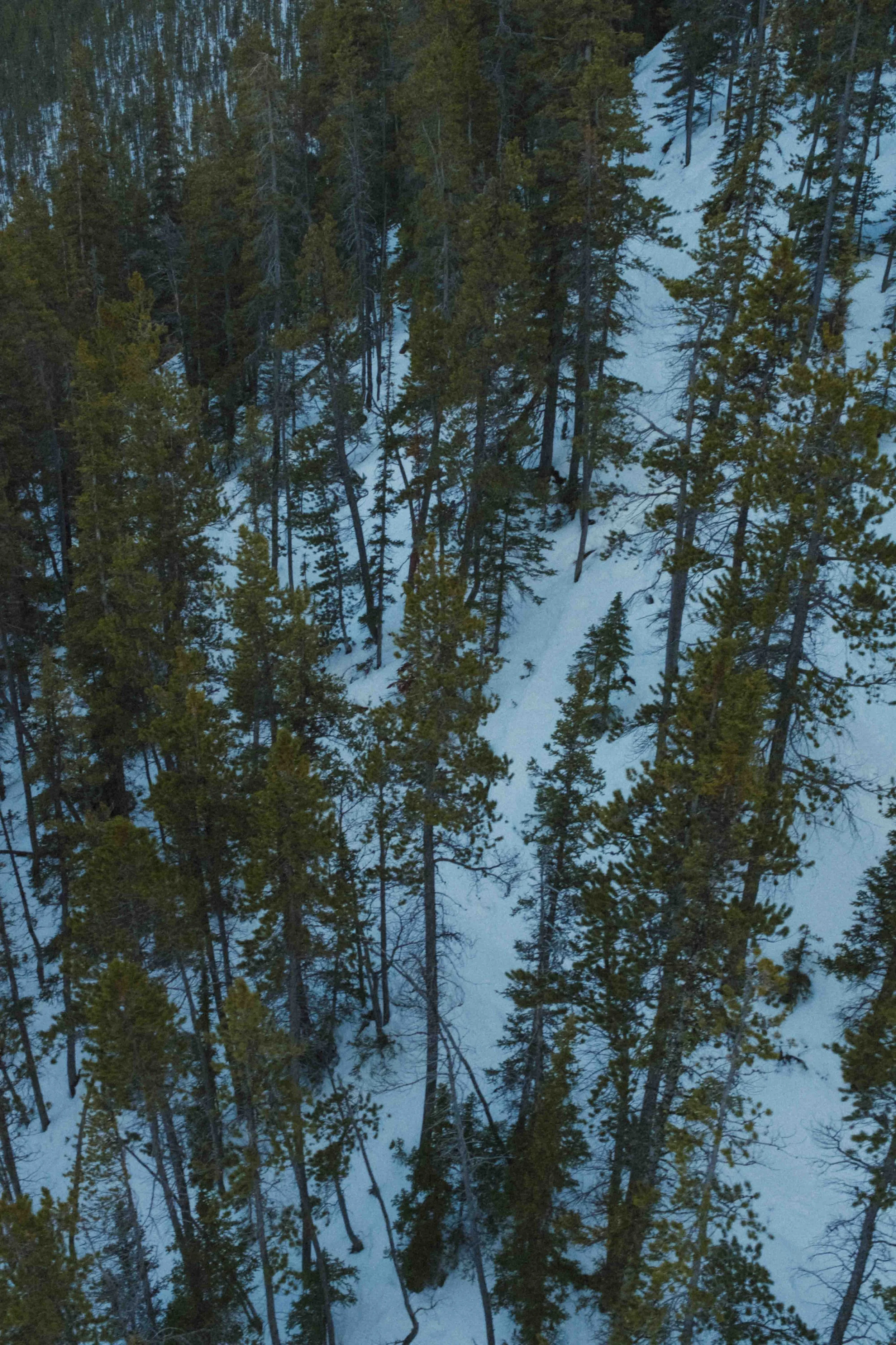 Alberta with Boshart - Blog-60.jpg