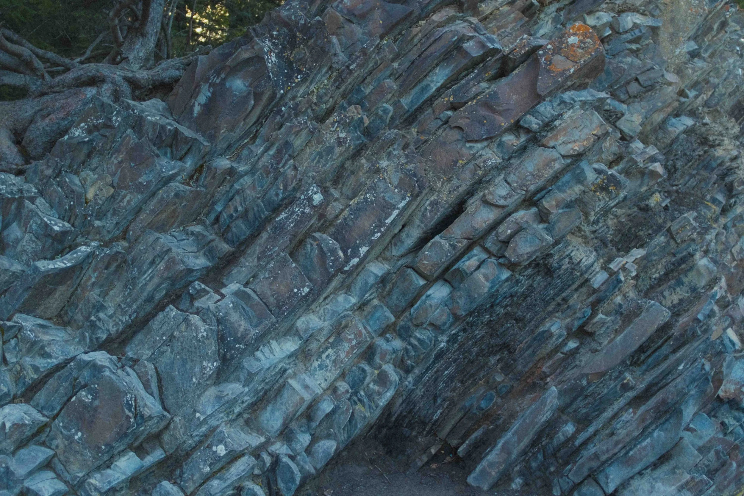 Alberta with Boshart - Blog-66.jpg