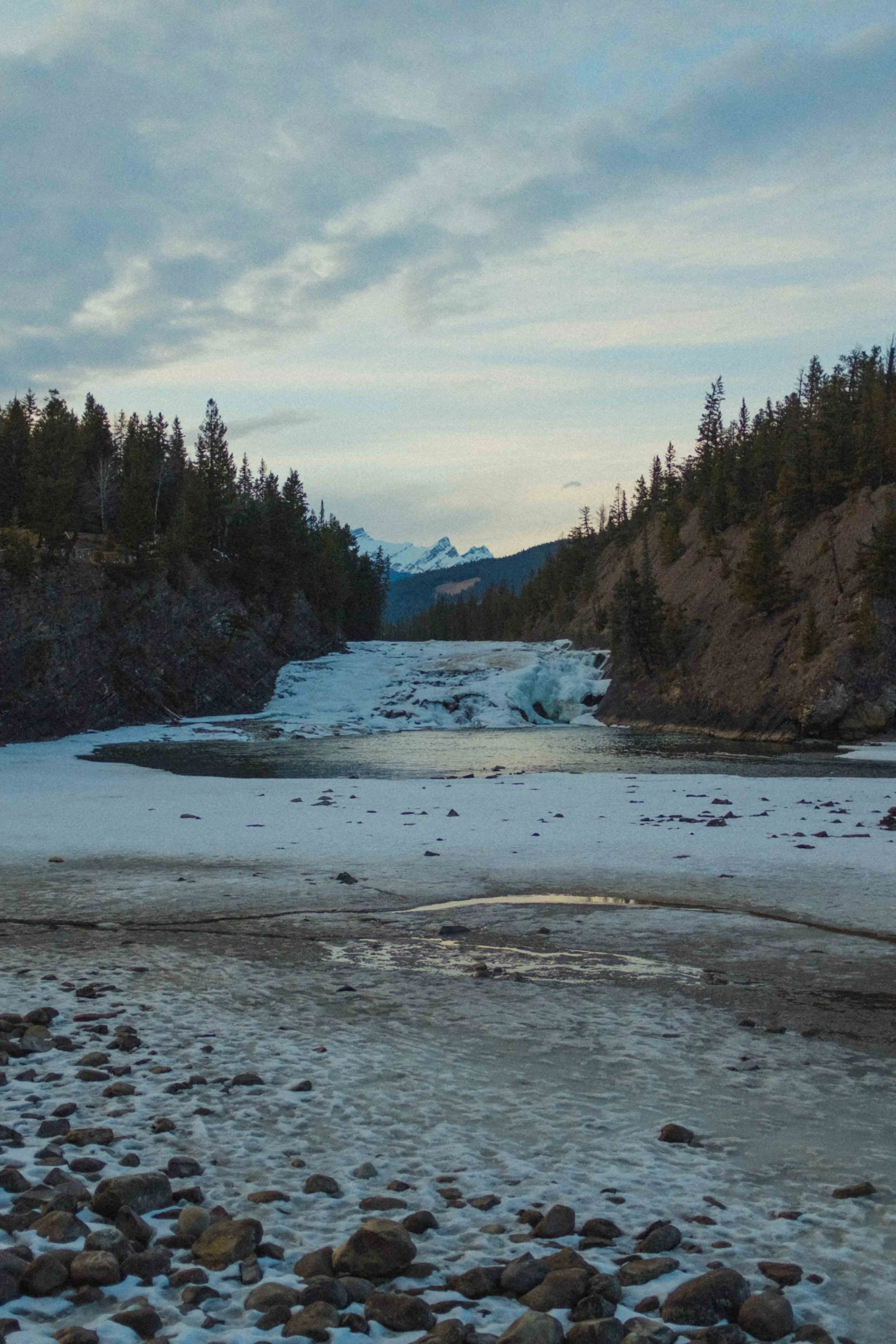 Alberta with Boshart - Blog-67.jpg