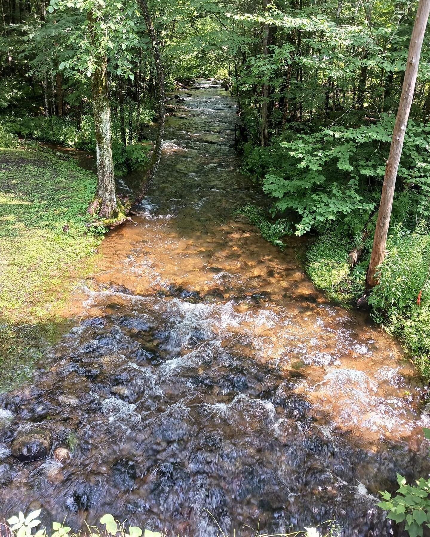 The Creek is moving but we are high and dry at the Fox Creek Inn. Book a stay with us at www.foxcreekinnvt.com. Hope to see you soon.