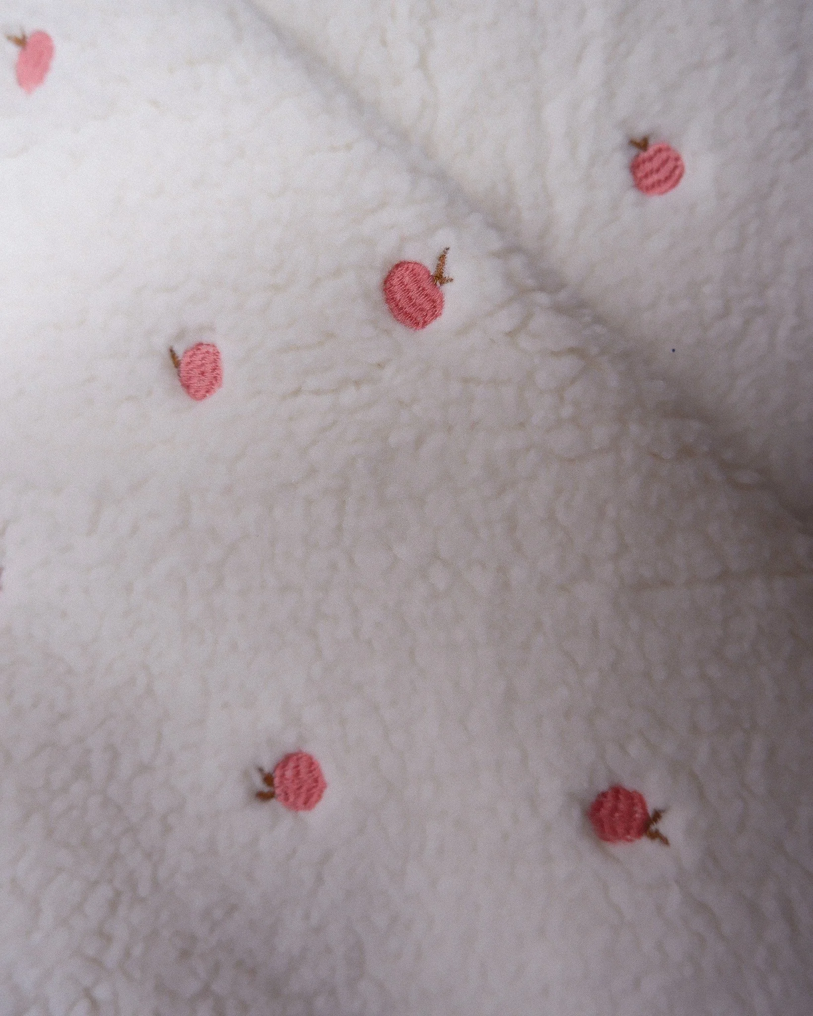 DSCF1651.jpg (copie)