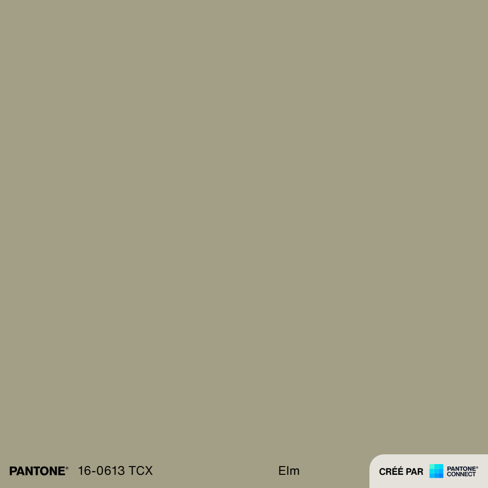 Pantone Connect Palette (53).png
