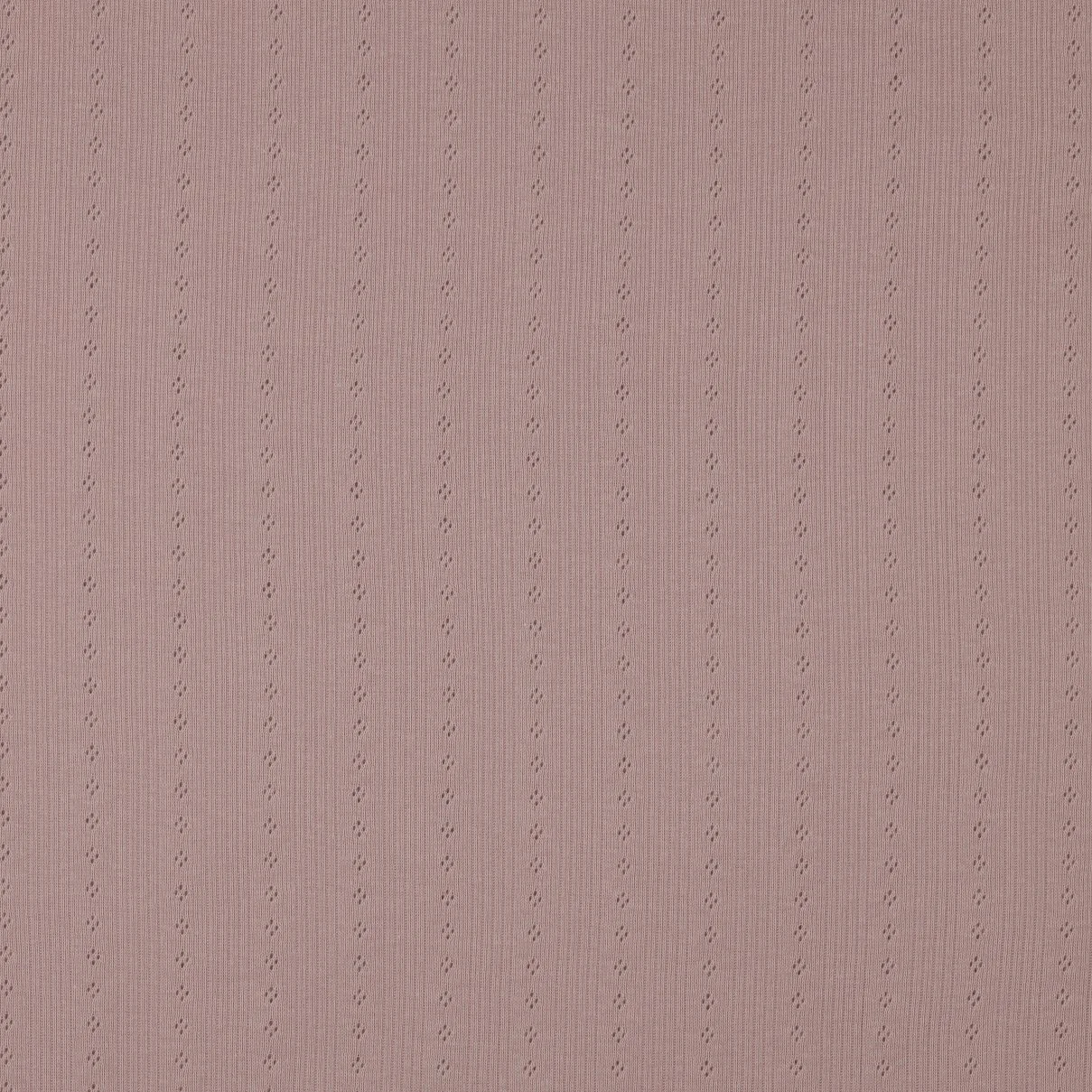 03602.004_highres.jpg