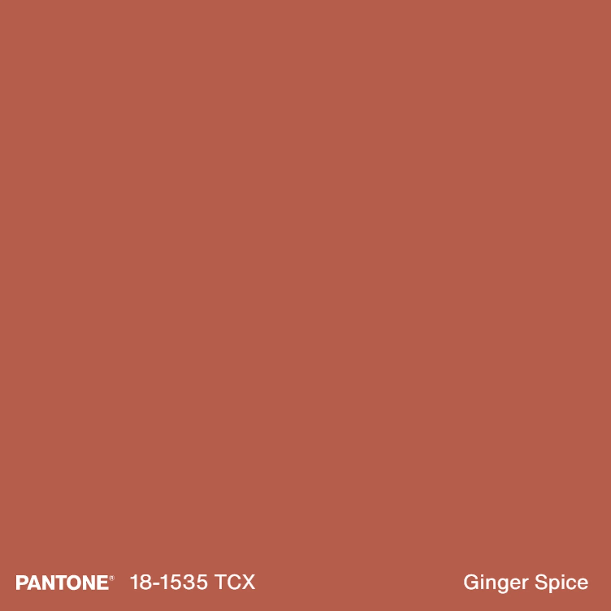 Tissu coton relief aspect lin coloris Ginger spice (3).jpg
