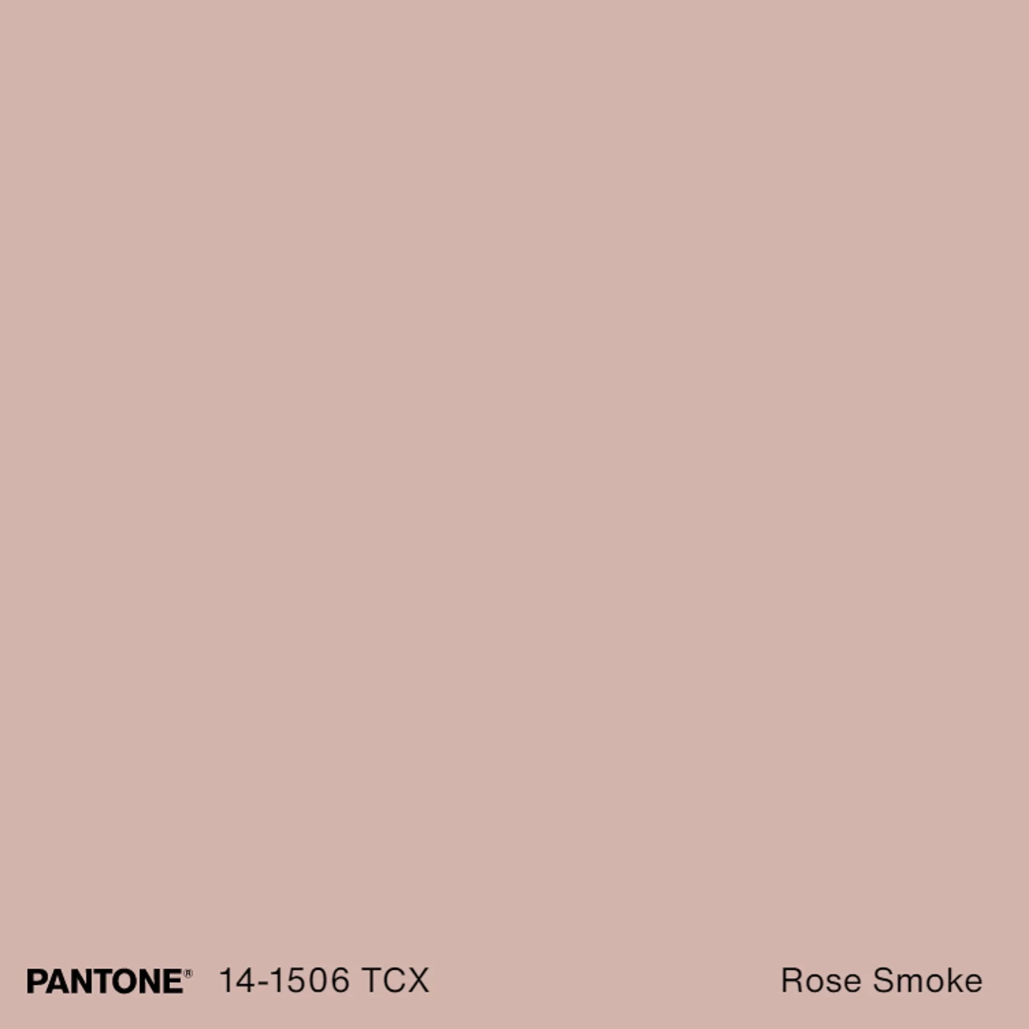 Pantone Connect Palette (10).jpg
