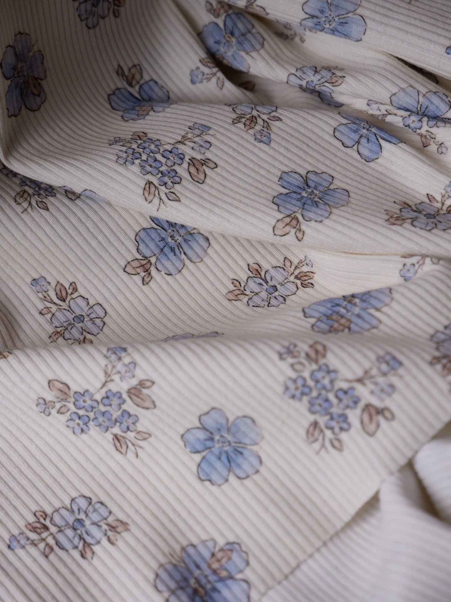 DSCF3352.jpg