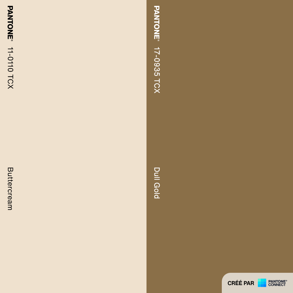 Pantone Connect Palette (52).png