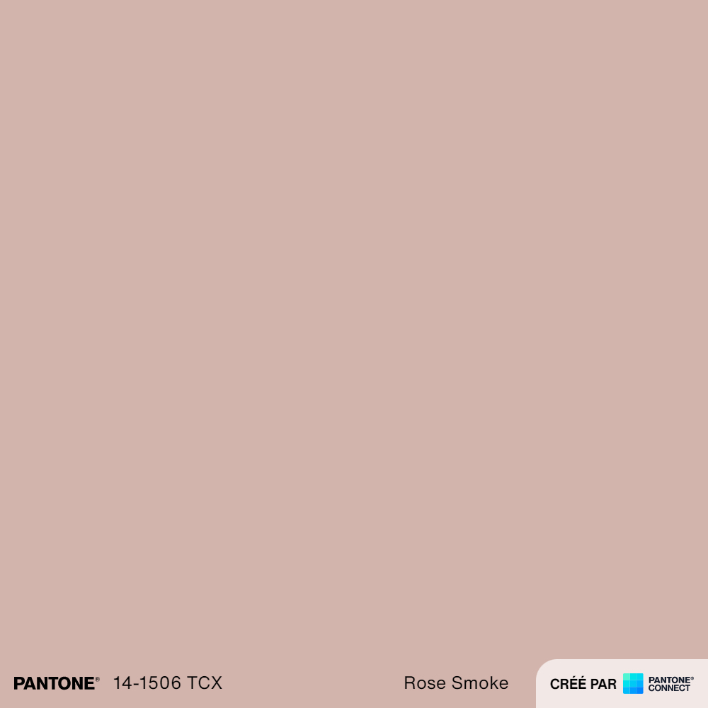 Pantone Connect Palette (10).png