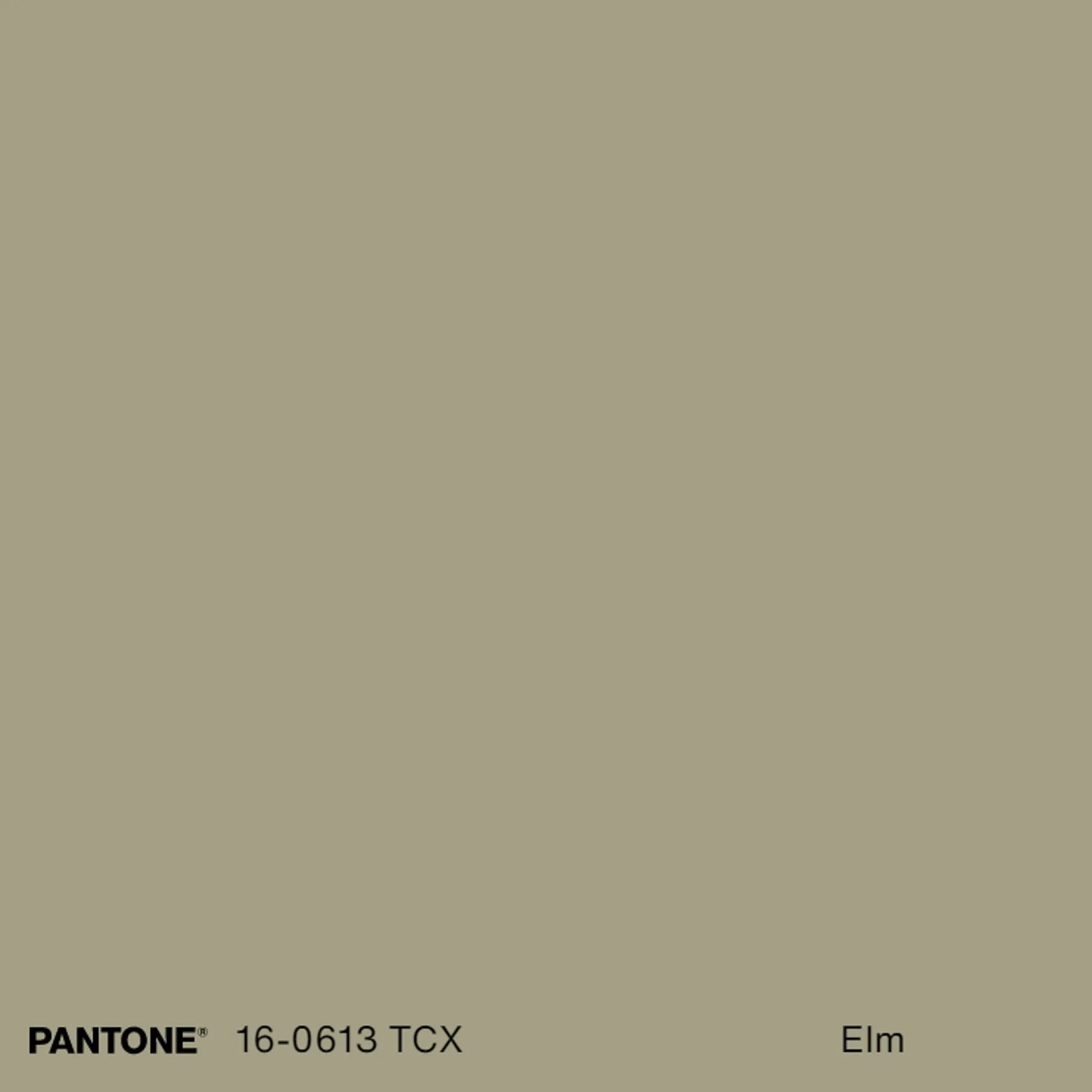 Tissu coton relief aspect lin coloris kaki (3).jpg