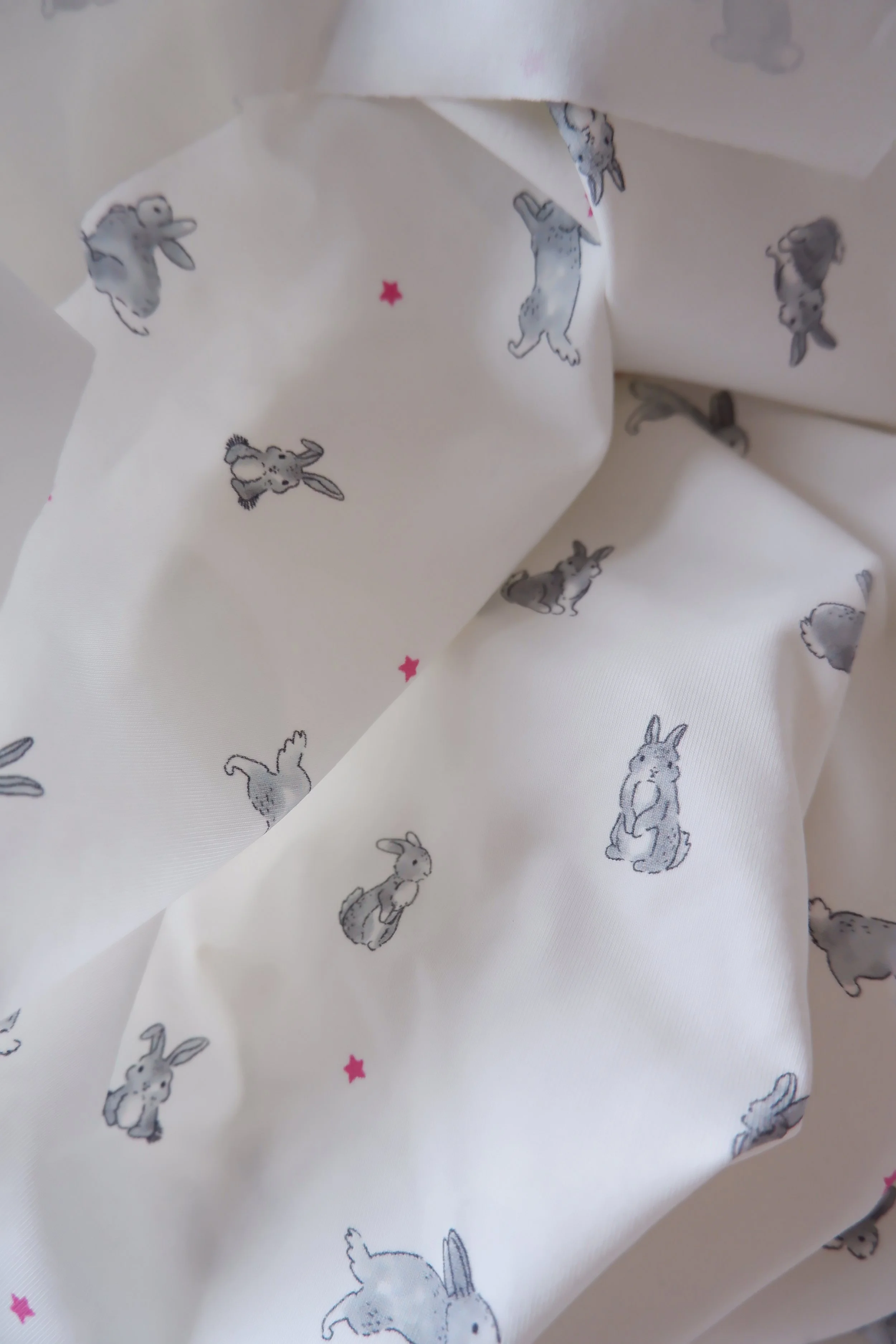 DSCF2033.JPG (copie)