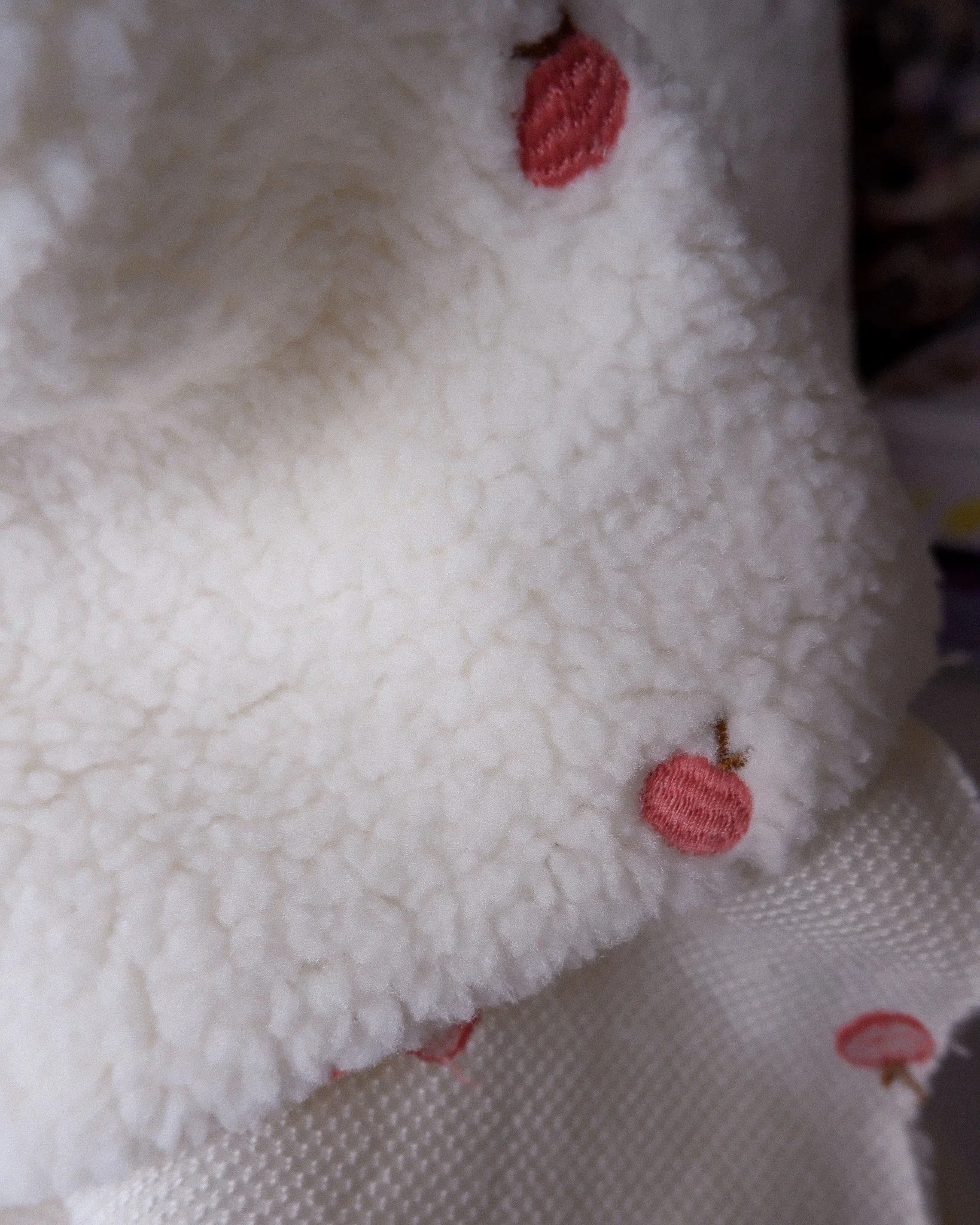 DSCF1653.jpg (copie)