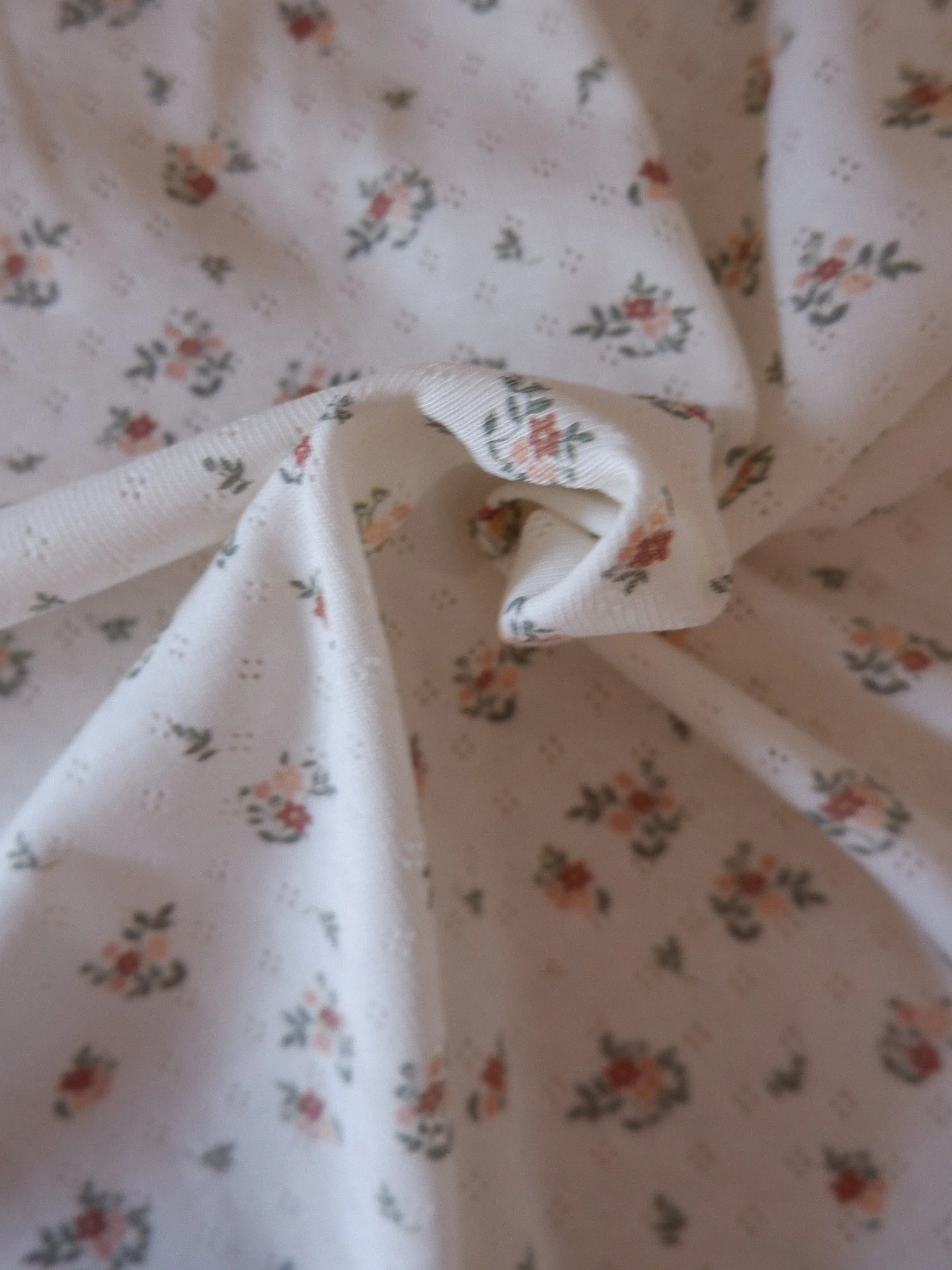 DSCF2399.jpg
